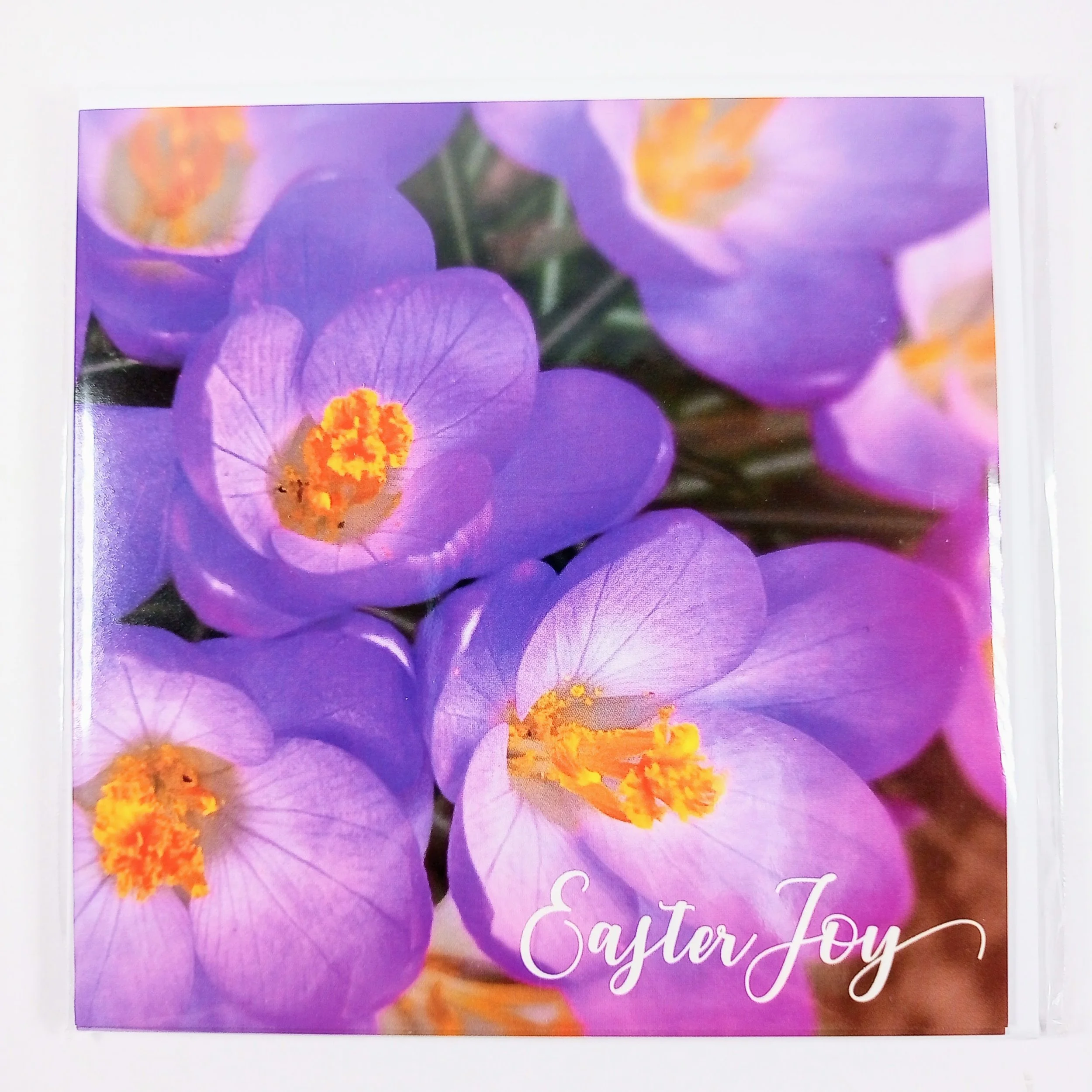 JC Easter Cards 5 pack Easter Joy