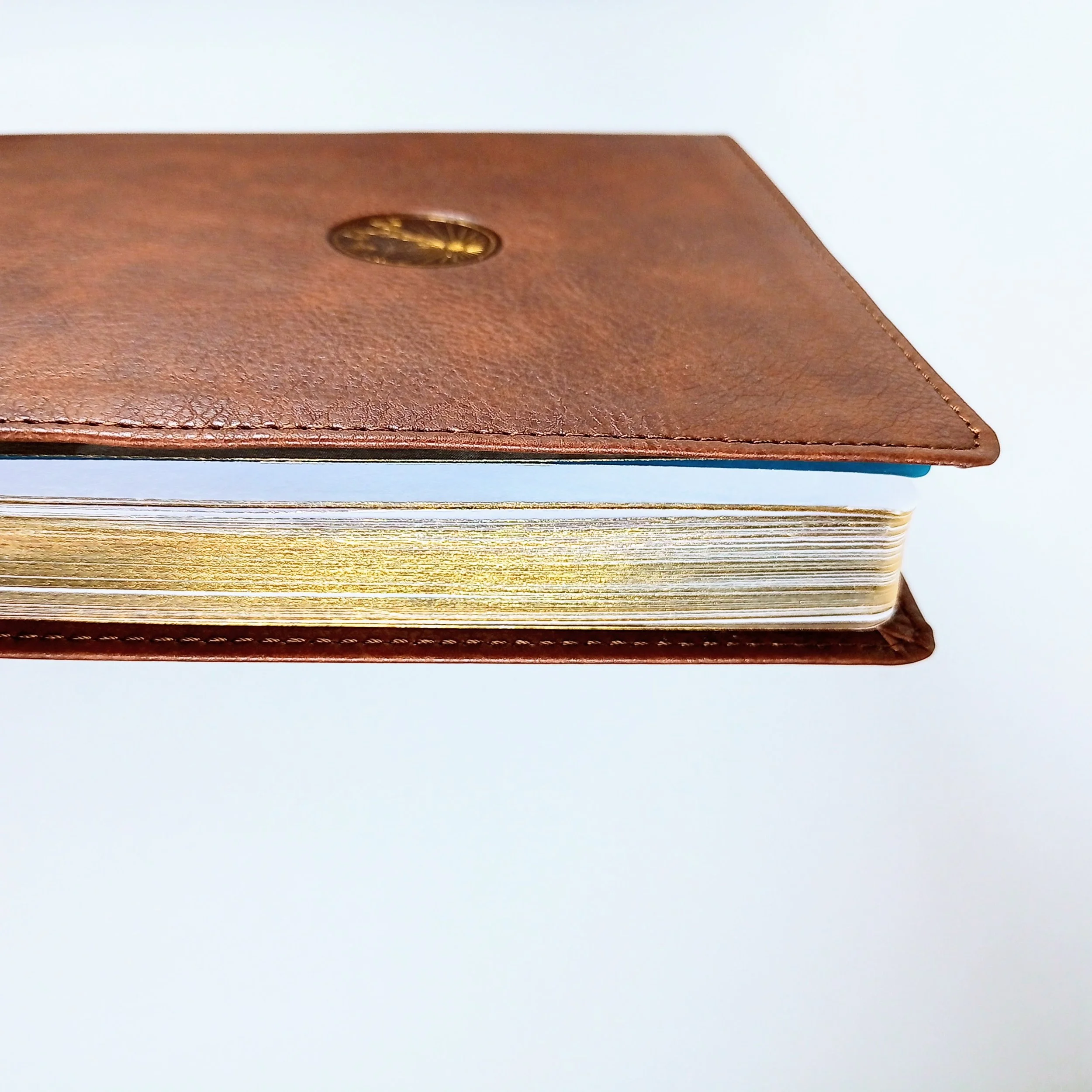 IMG_20260330_164149_694.jpg (Copy)