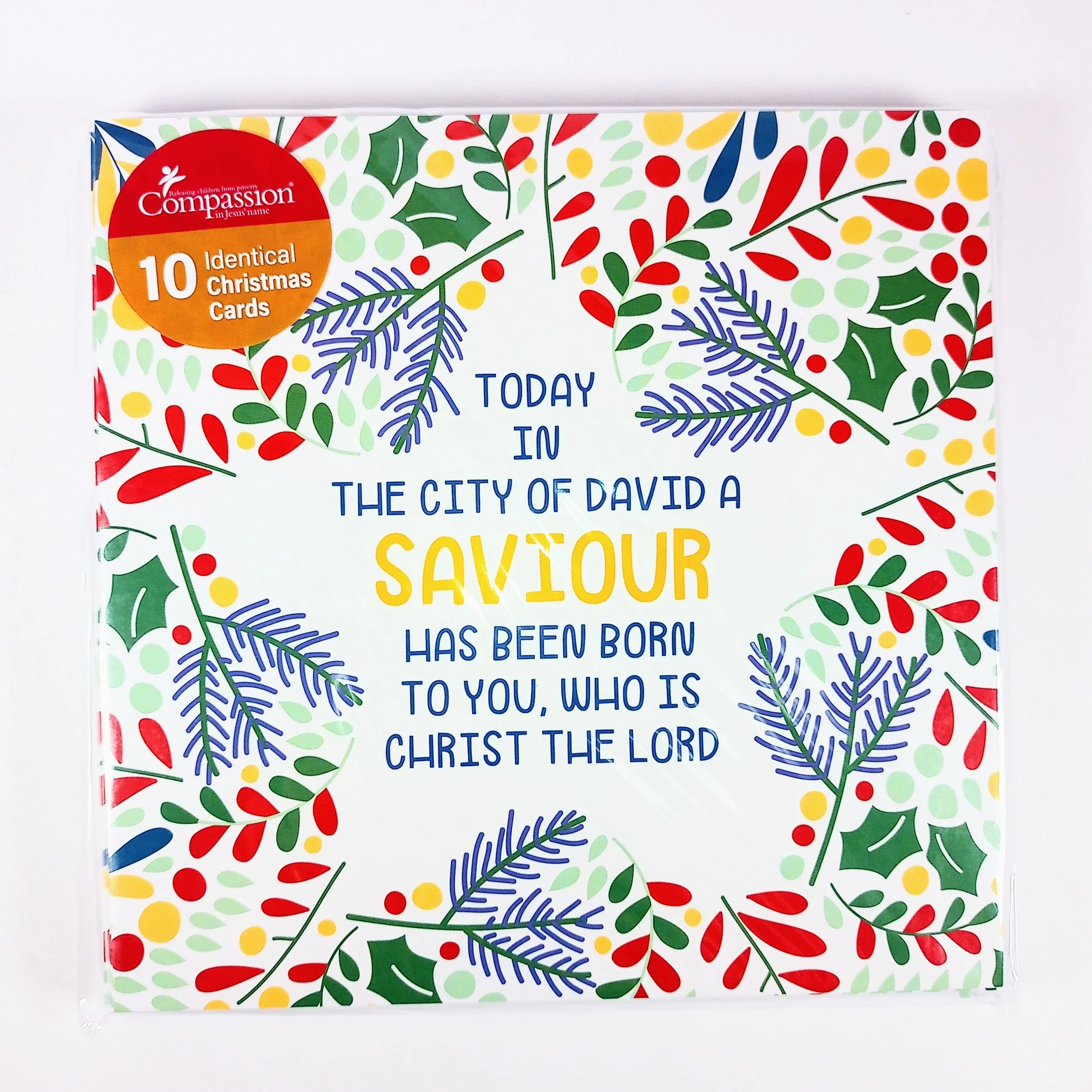 Compassion Winter Walk Christmas Cards 10 Pack