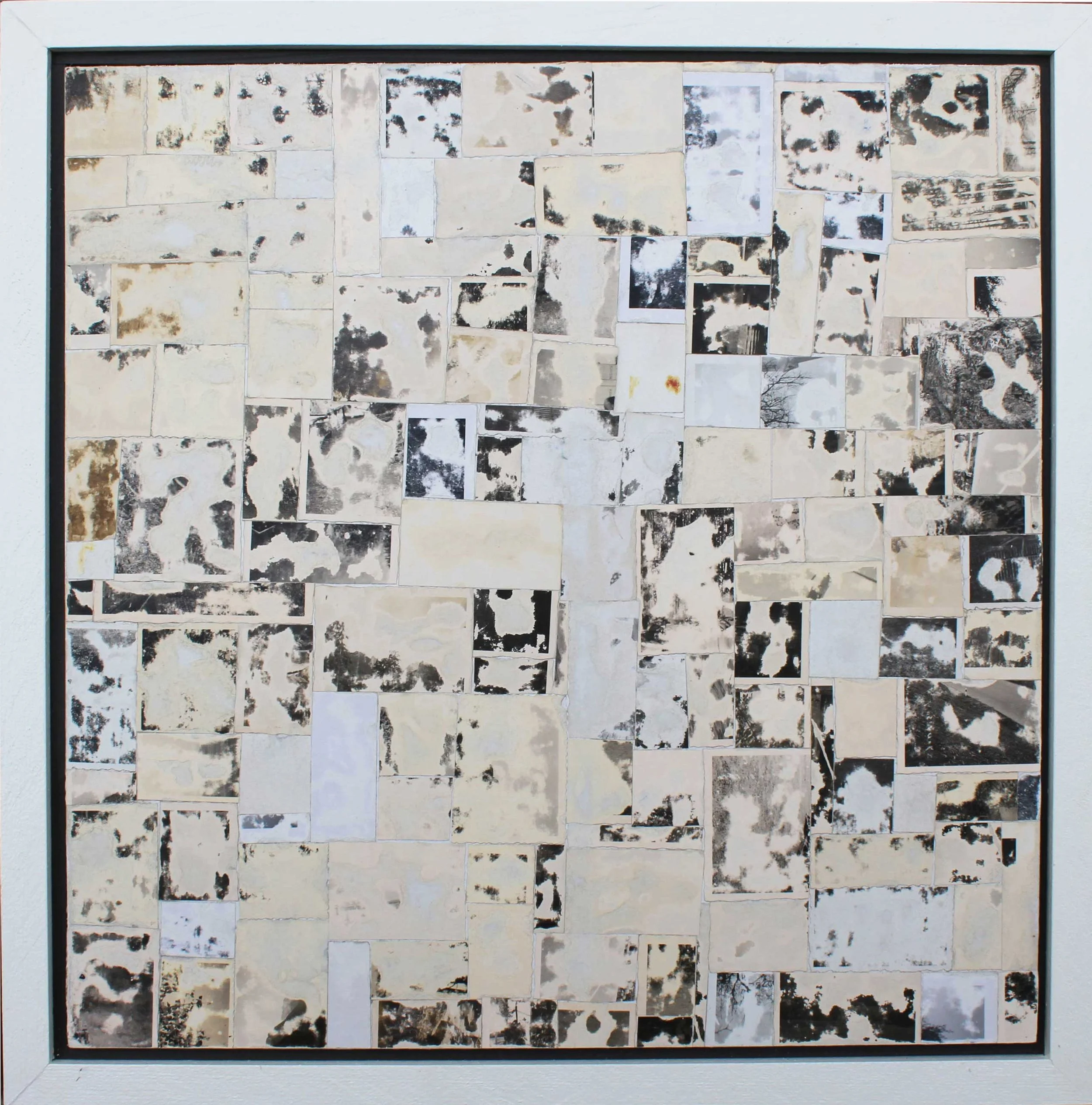 Cryptomnesia no. 2019.010.03, 2019. photos on panel - 15.5" x 15.5".