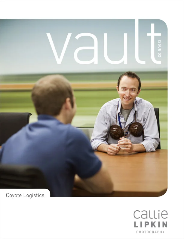 vault-01