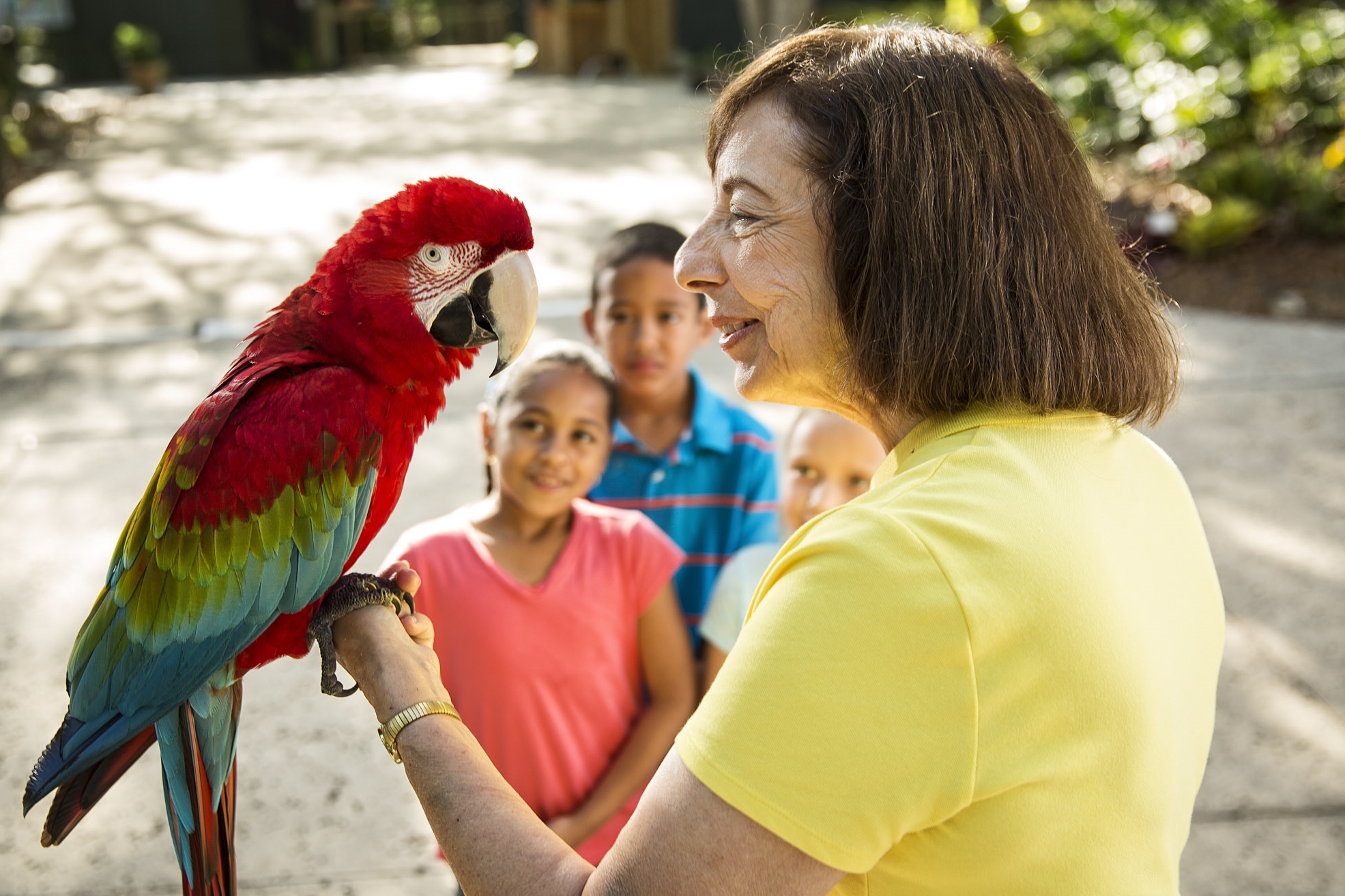 UMR150335_Volunteer_Holding_Bird__0913a.jpg