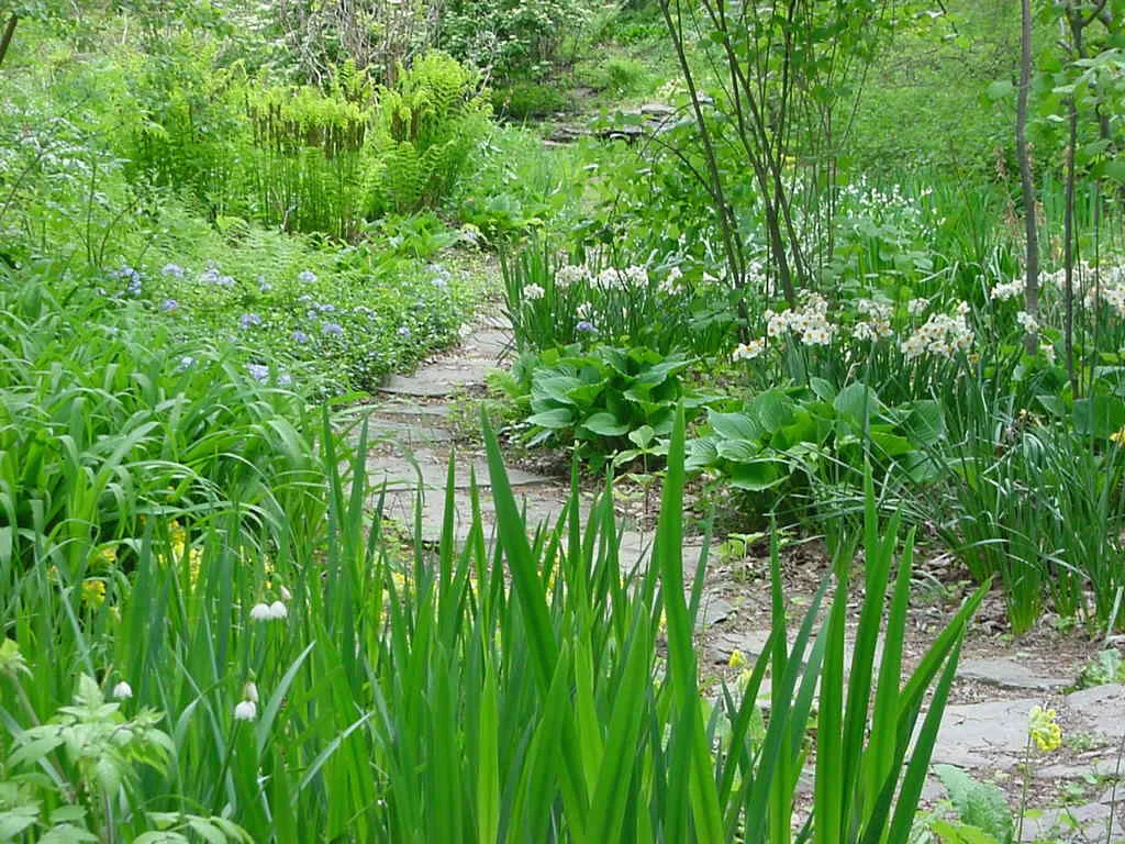 22_rough path 051903ju.jpg