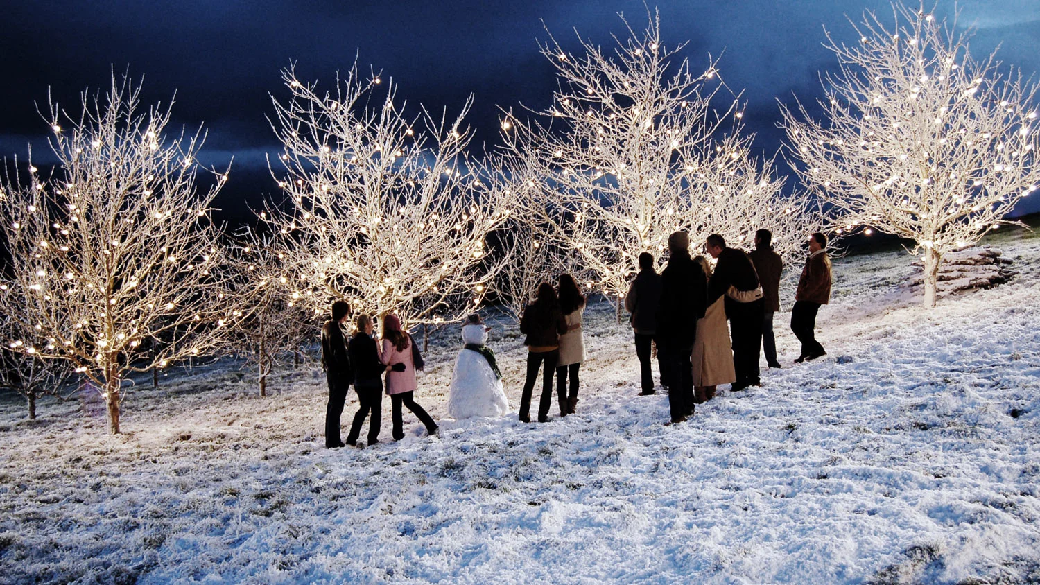 MAGNERS | Director: Des Mullan