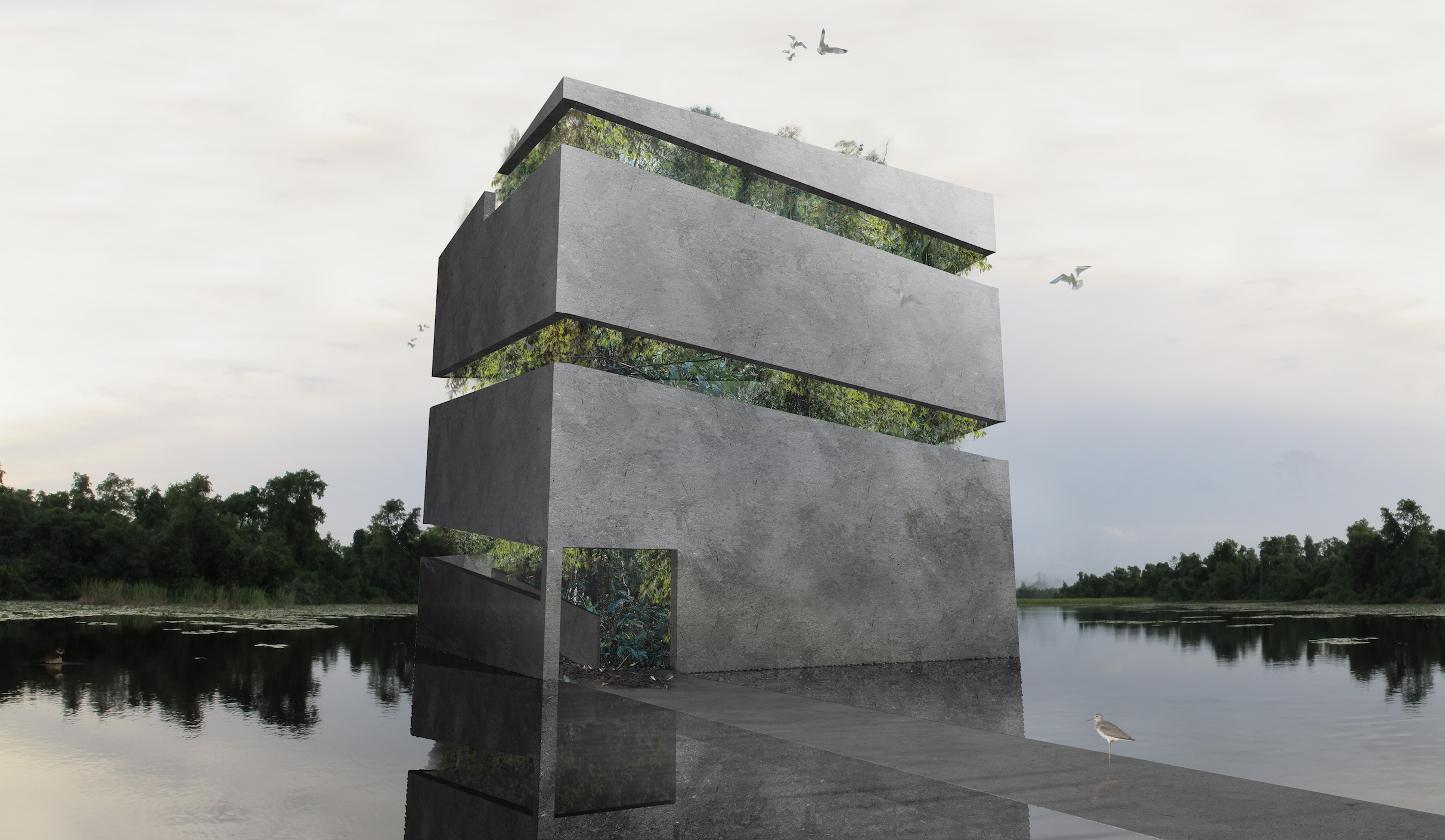 Sophie Walker / Jungle Box Project