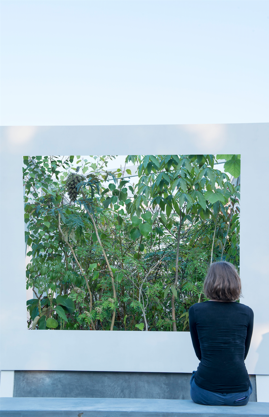Looking into Cave Pavilion, Sophie Walker RHS Chelsea Flower Show / 2014