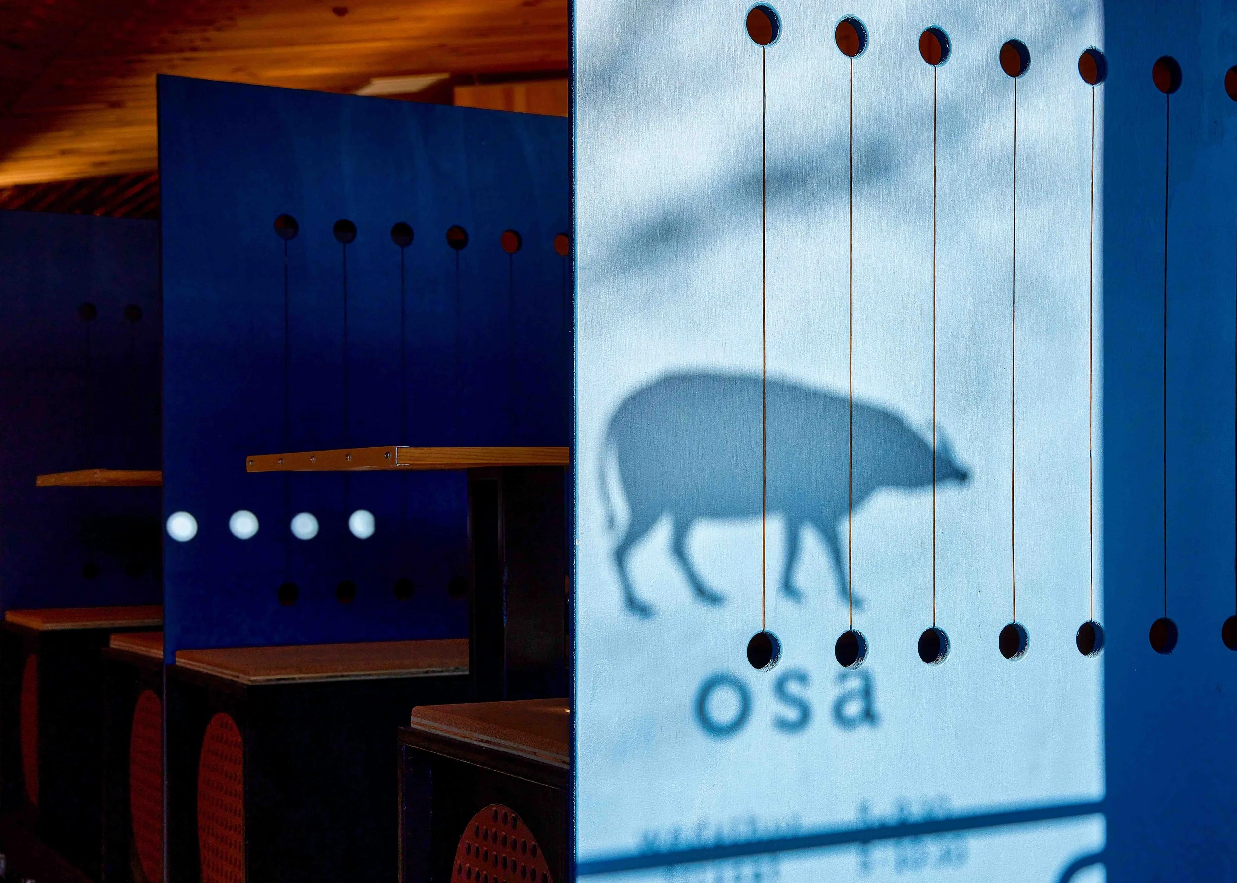 20251119 Lifestyle-4.jpg