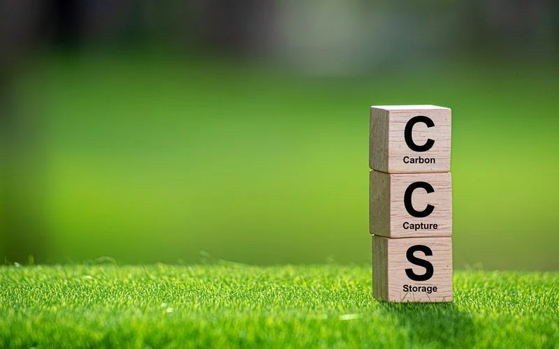 Blocks stacked on grass that says "CCS"