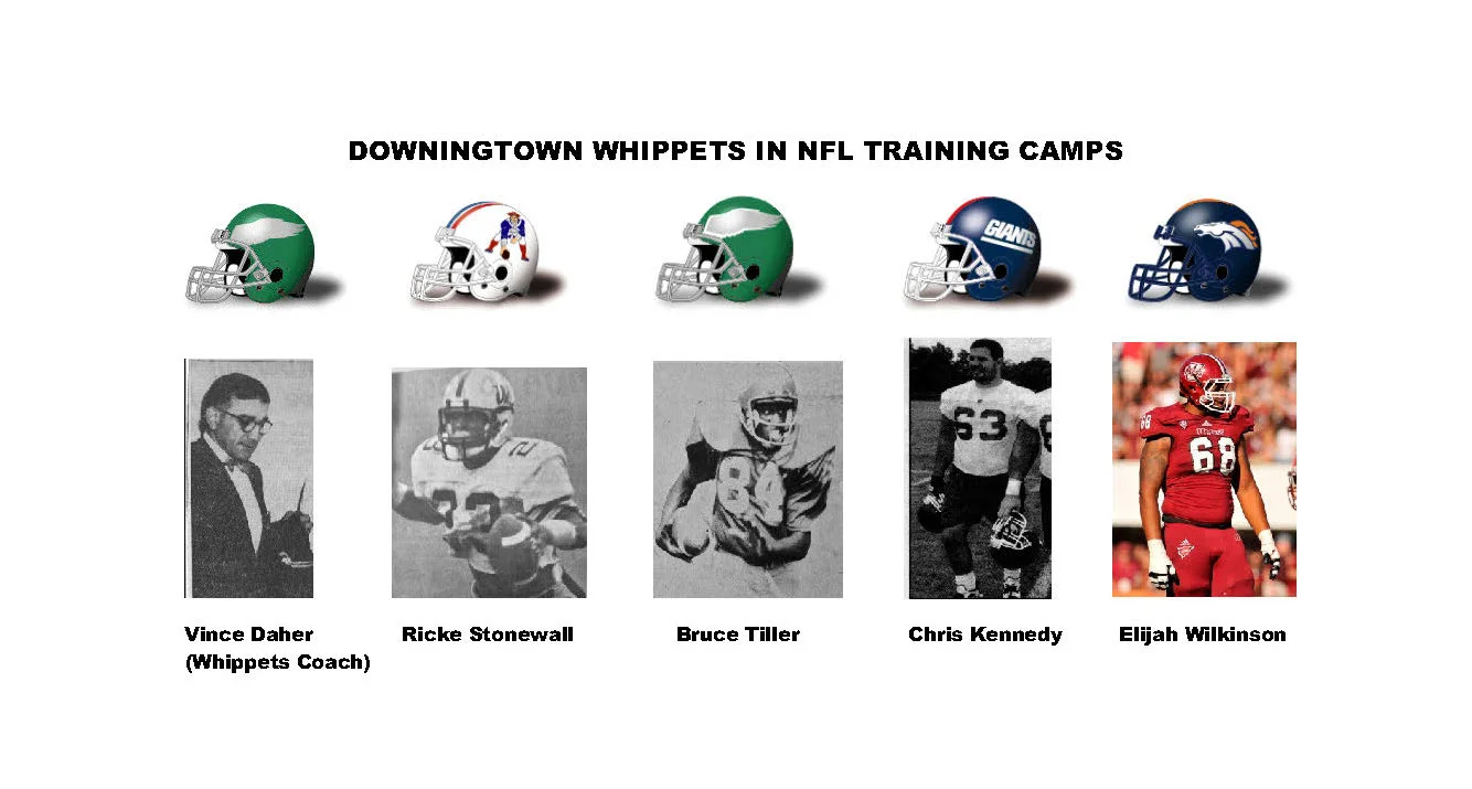 NFL Camp Whippets_Page_2 (Cropped).jpg