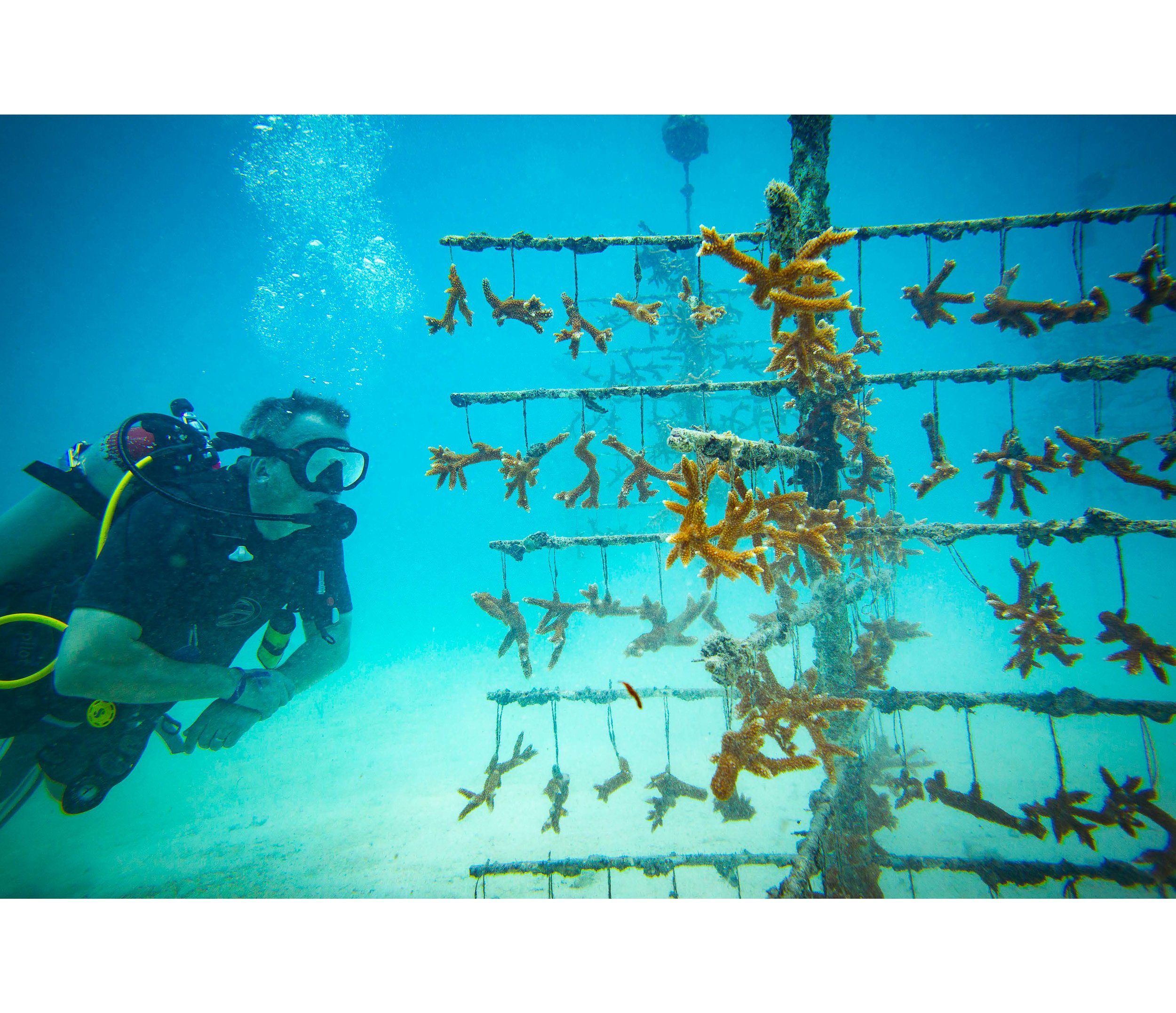 Anglers Reef Dive Trip Book_Page_24.jpg
