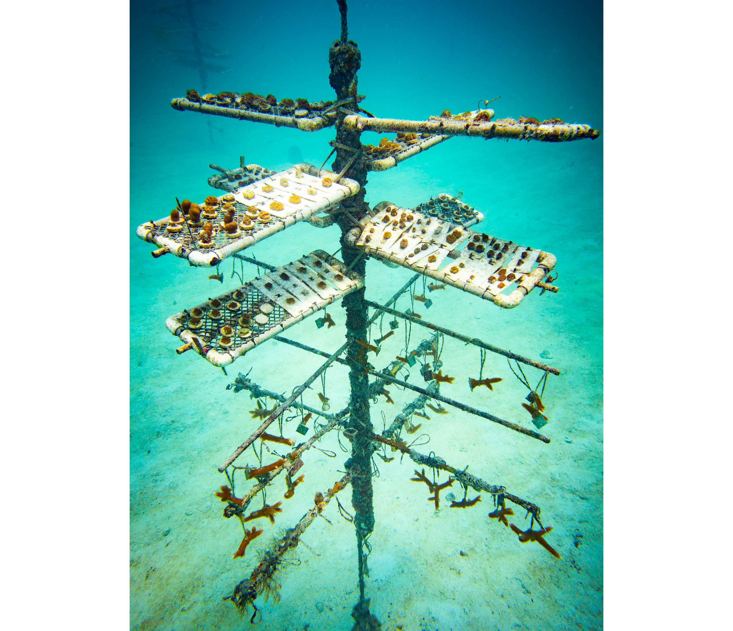 Anglers Reef Dive Trip Book_Page_23.jpg
