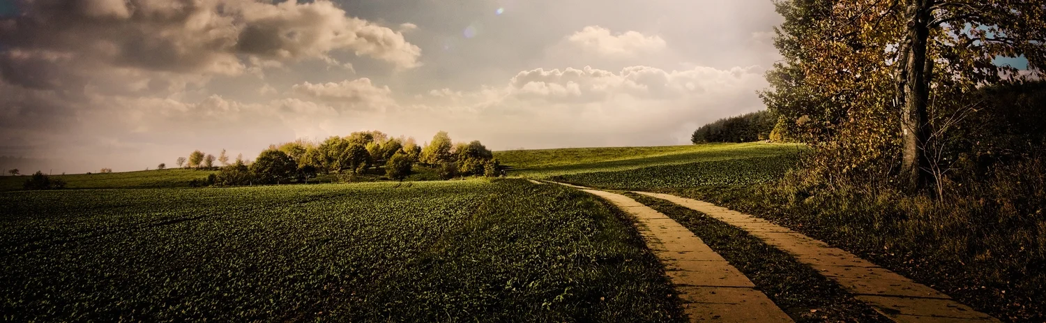 Nature_Fields_Road_into_the_field_025090_.jpg