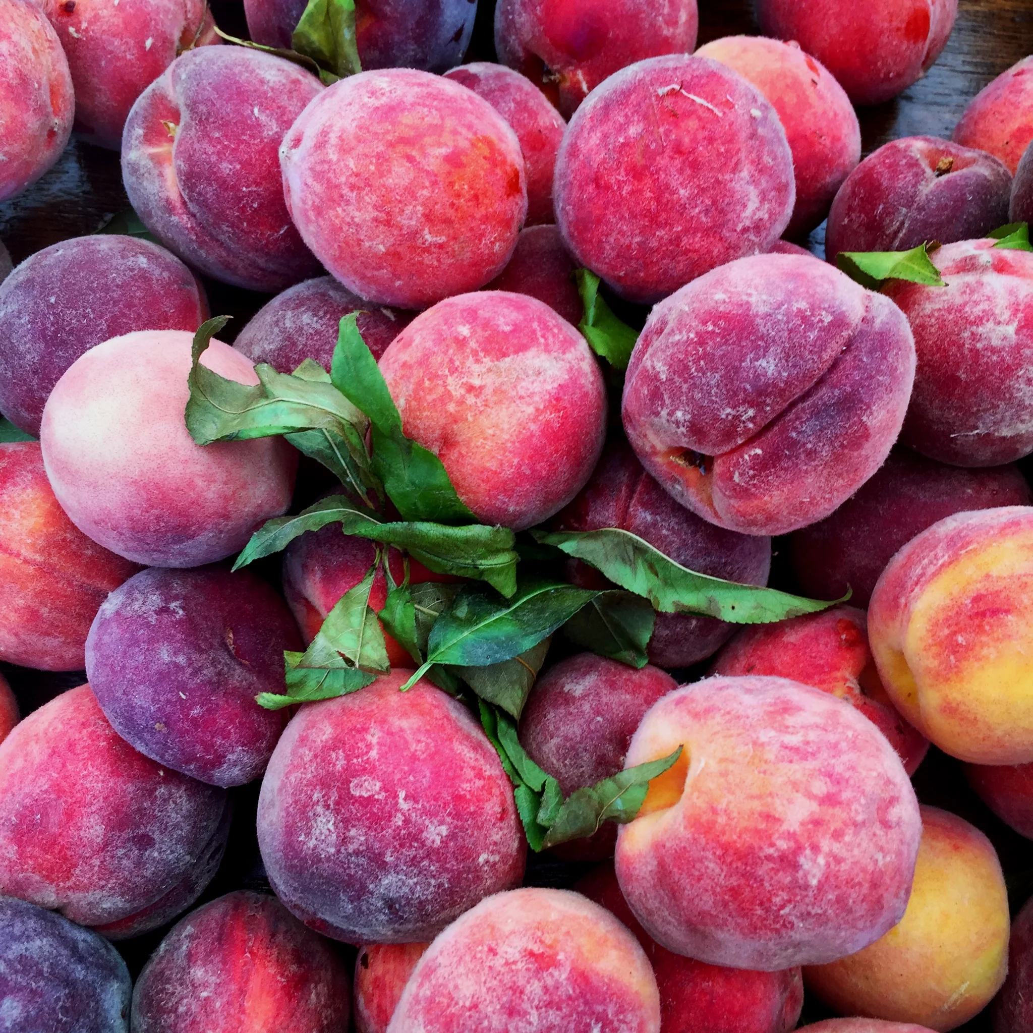 Sunday's Are Just Peachy