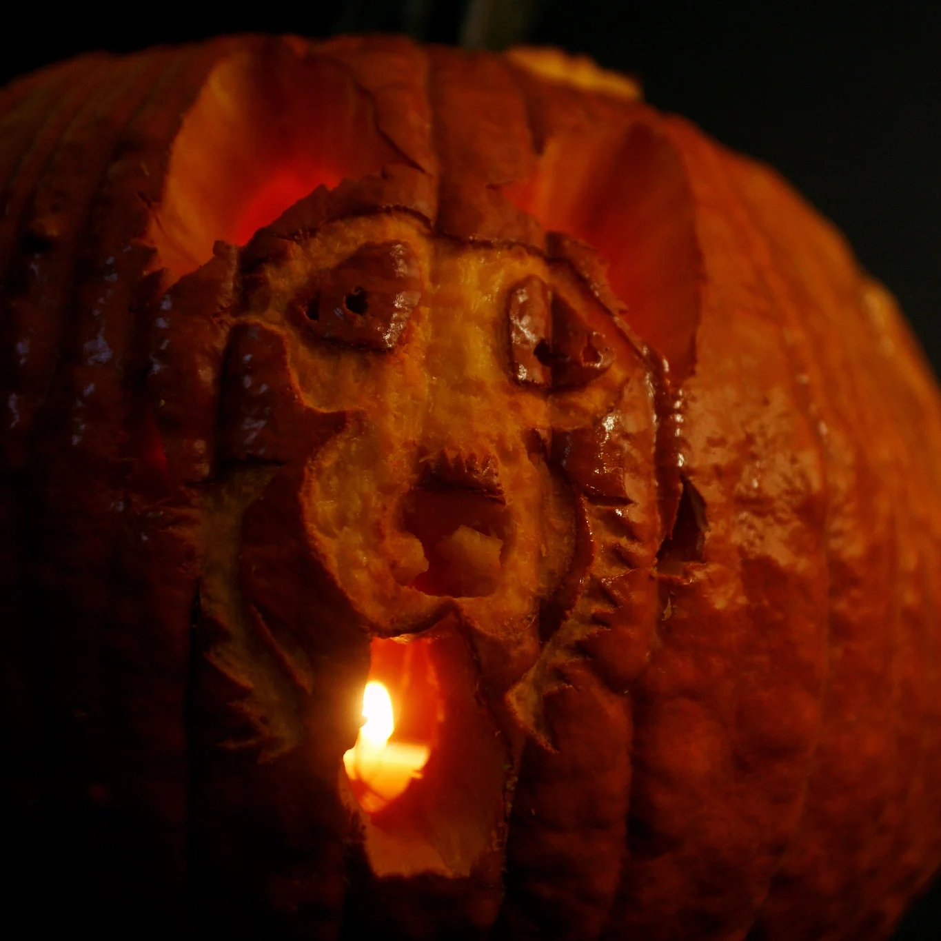 maQ-o'-lantern