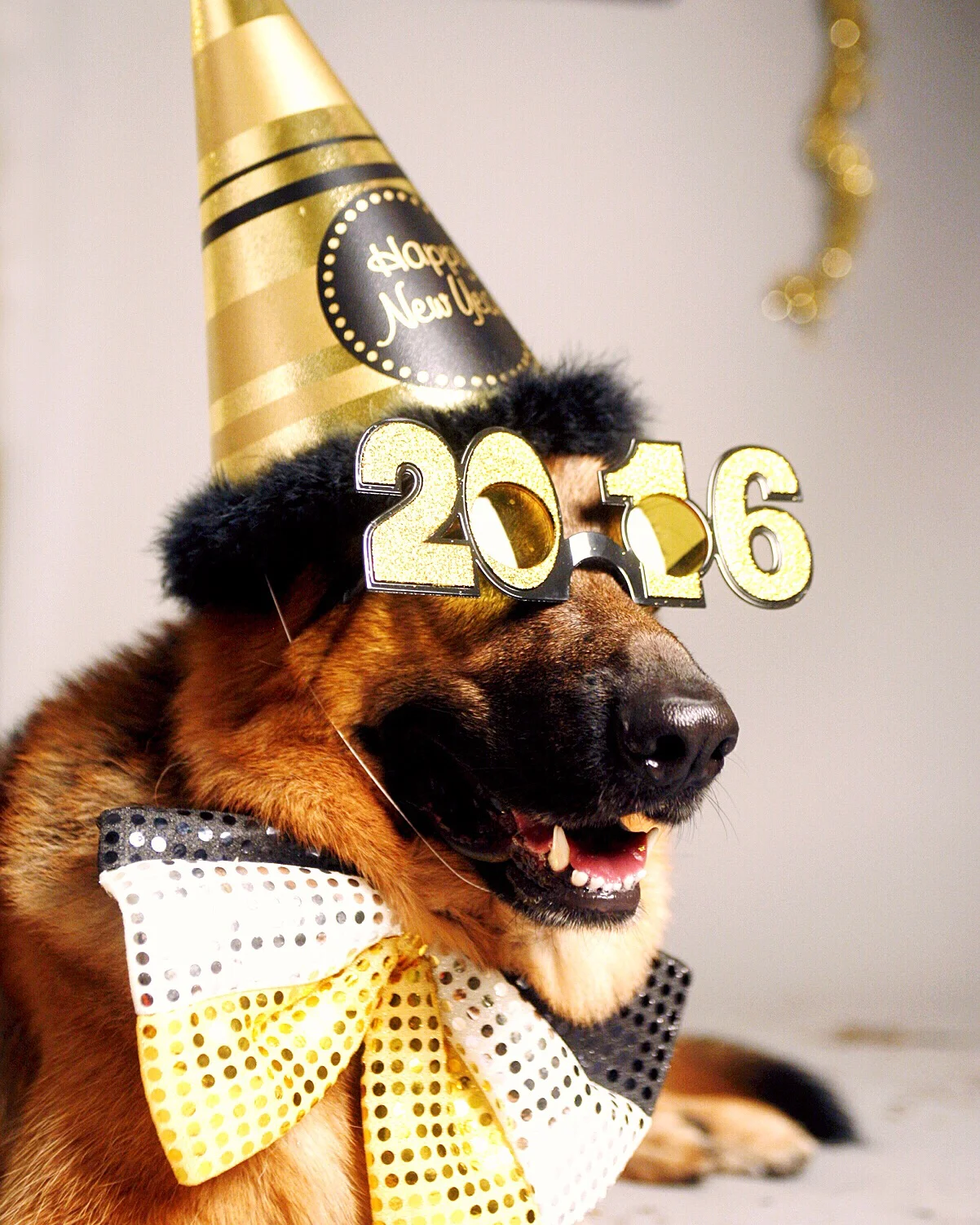 Happy New Year from MaQ!