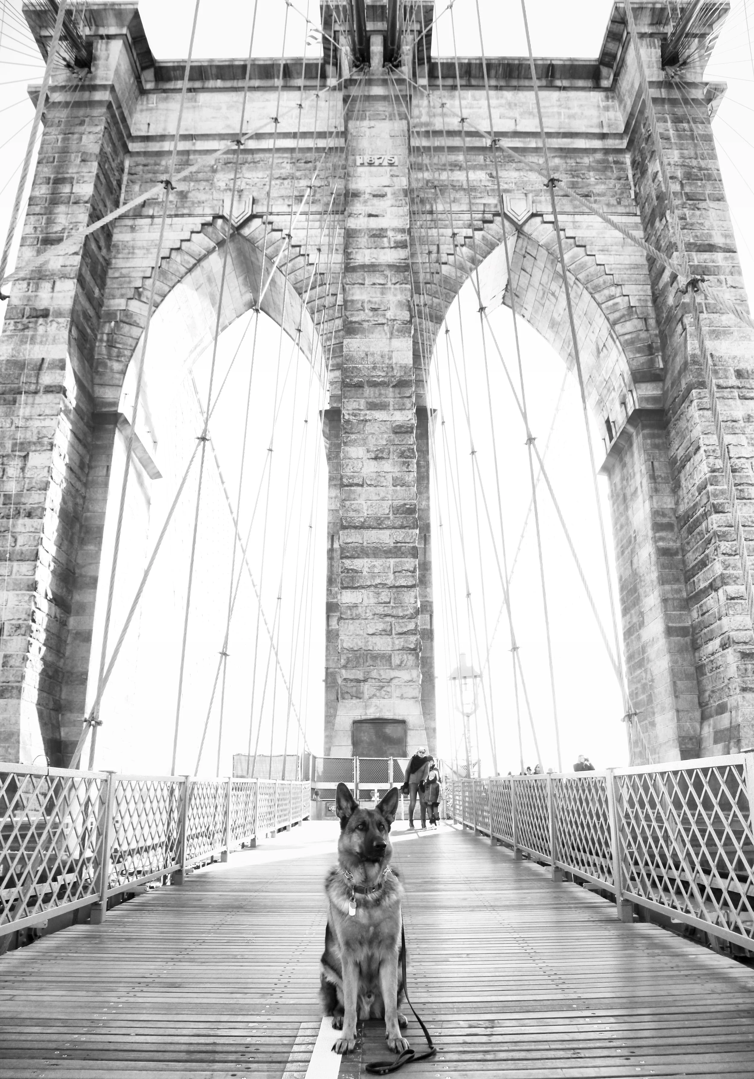 MaQ & the Brooklyn Bridge . Doesn't he look majestic AF? :)