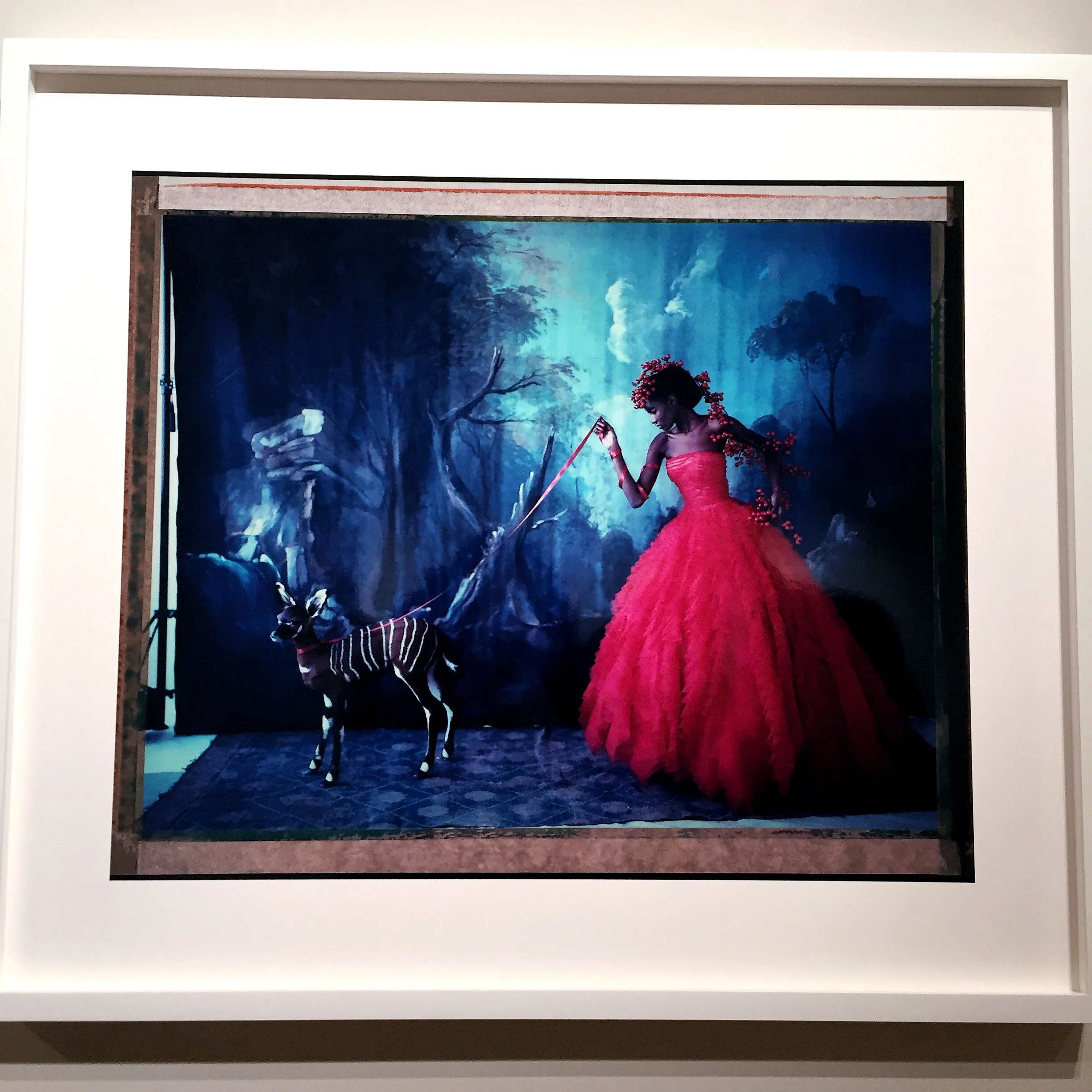 L’arche de Noé XVIII, Dior haute couture summer 2012, 2012 © Cathleen Naundorf