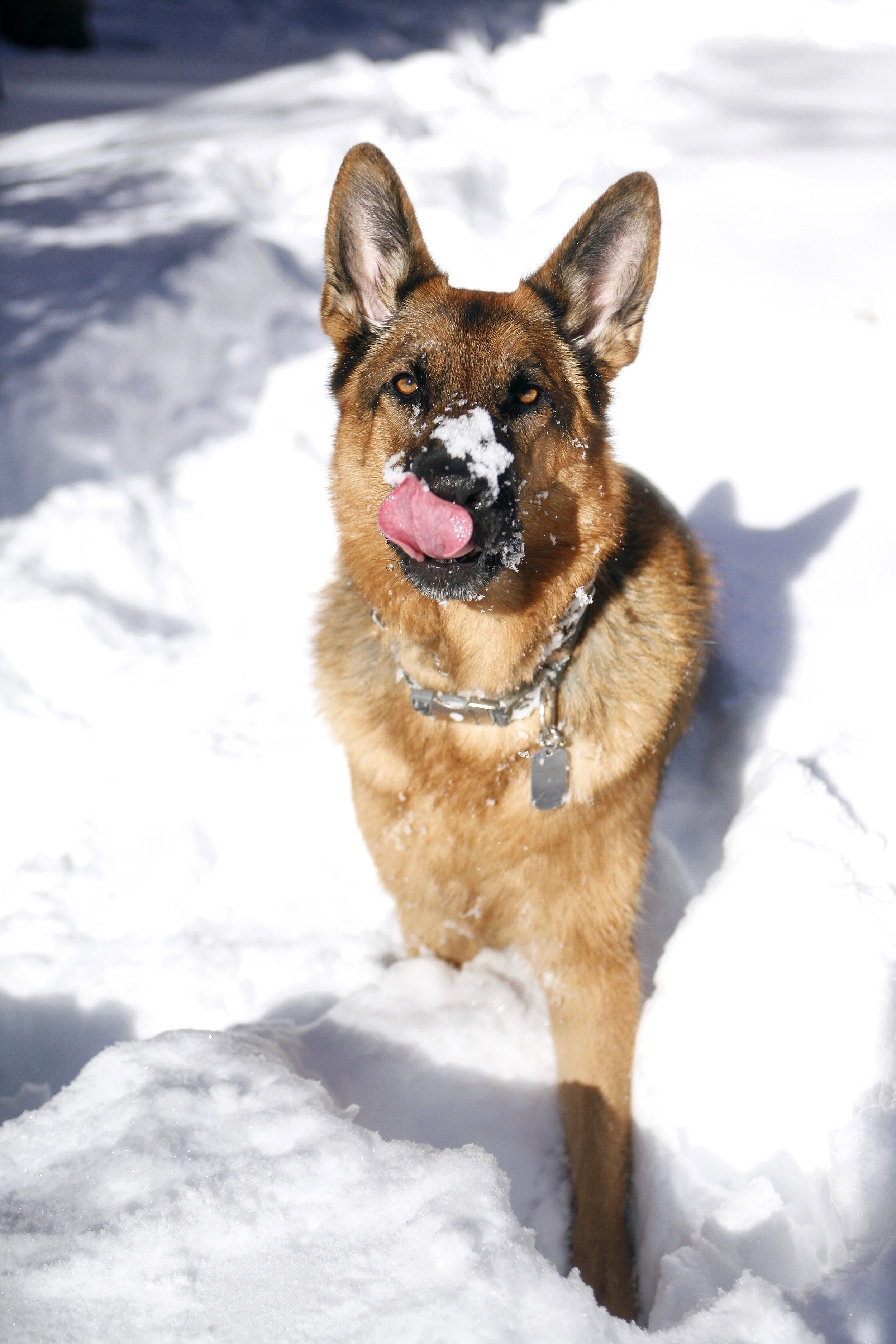 How I feel about going back indoors.
