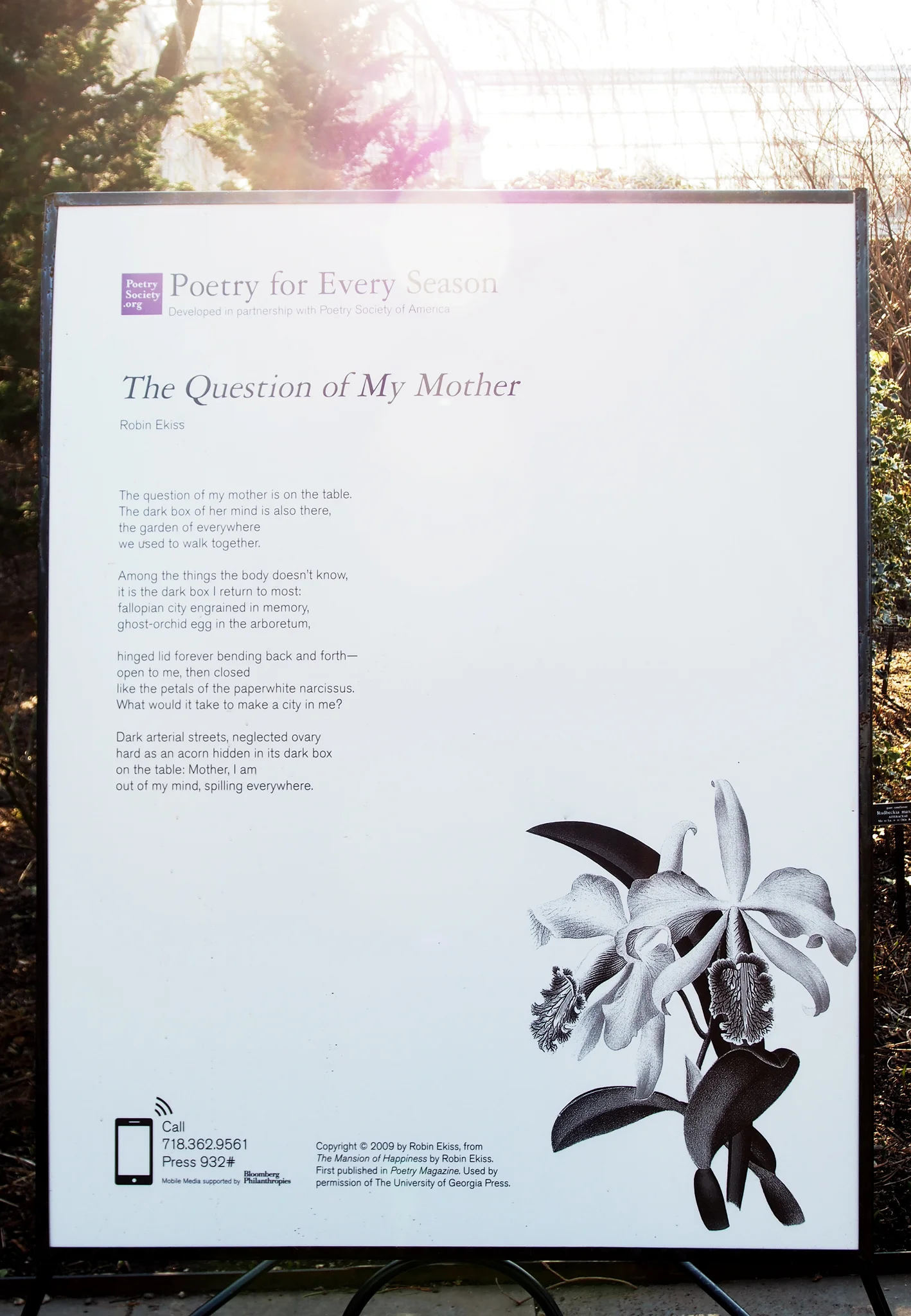 The Question of my Mother poem by Robin Ekiss , from The Mansion of Happiness .