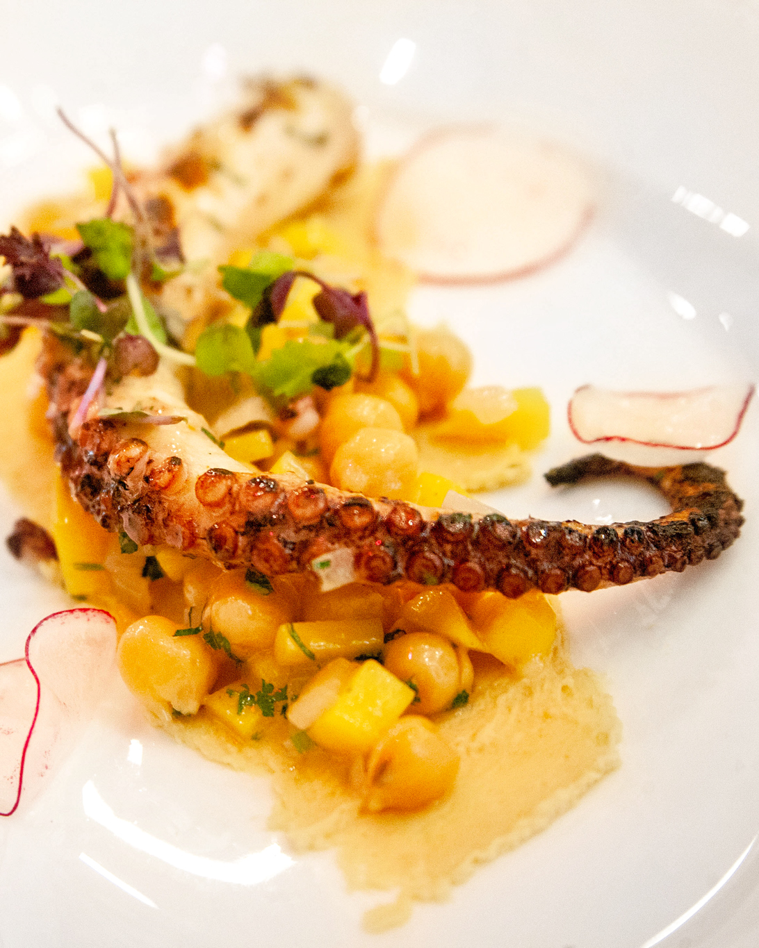 Grilled Octopus appetizer