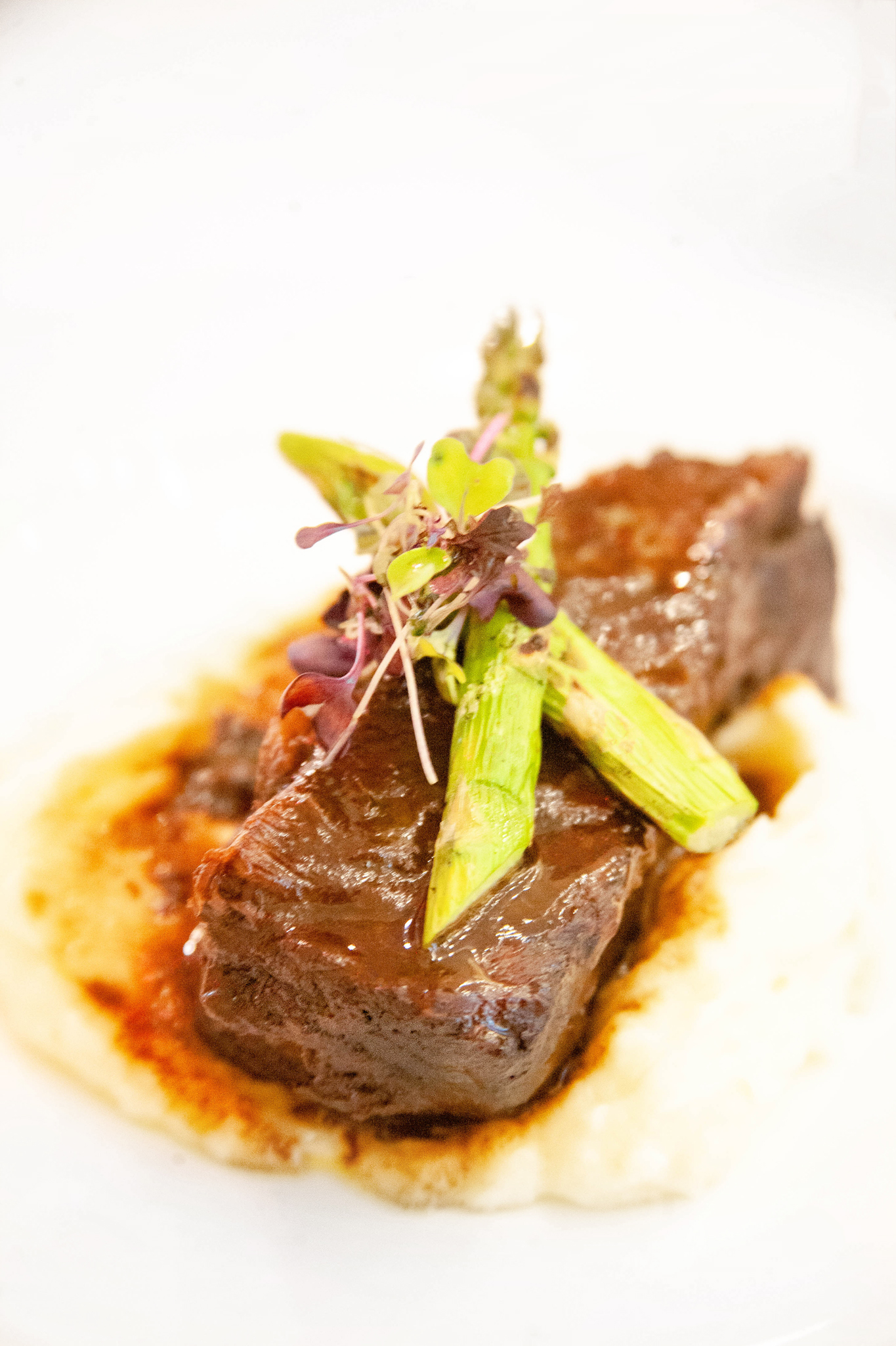 Braised short rib