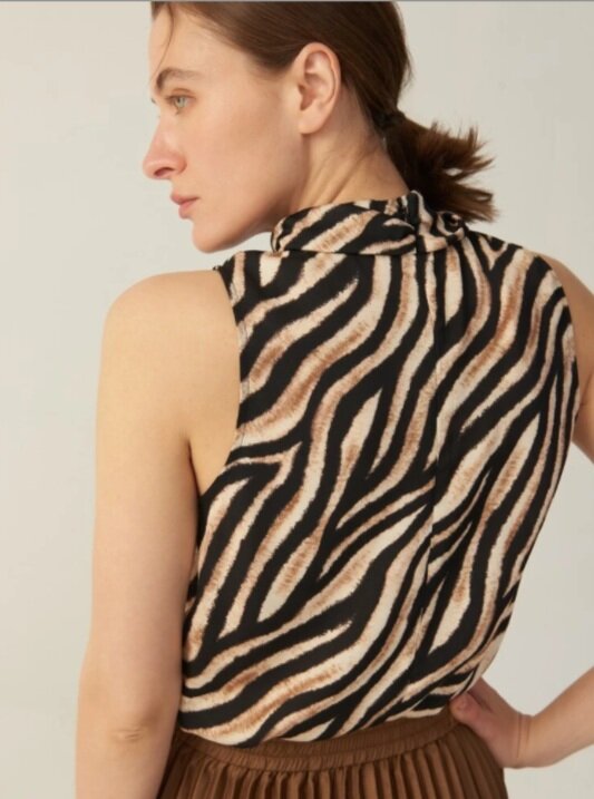 Zebra Stripe Top