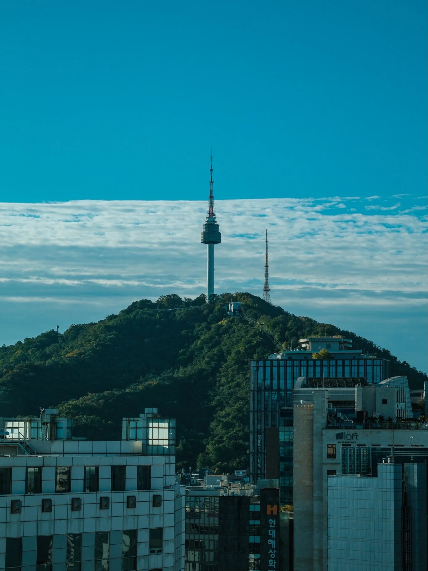 Seoul, through my eyes. 🇰🇷
Some cities you visit. Others stay with you.
A collection of fleeting moments, quiet corners, familiar unfamiliarities, and everything in between.
My first time in Seoul, but somehow, it never felt like the first time. A 