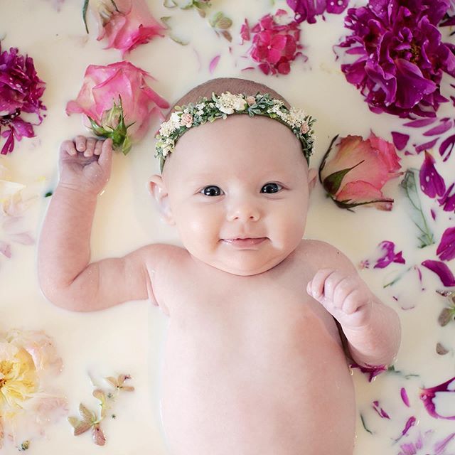 My sweet girl 🌷🌼 and yay for cousins who know how to use big cameras @jennalynntarrant 😘
.
.
.

#milkbath #3months #babygirl #lovelysquares #baby #babyphotography #freshflowers #farmgirlflowers #roses#