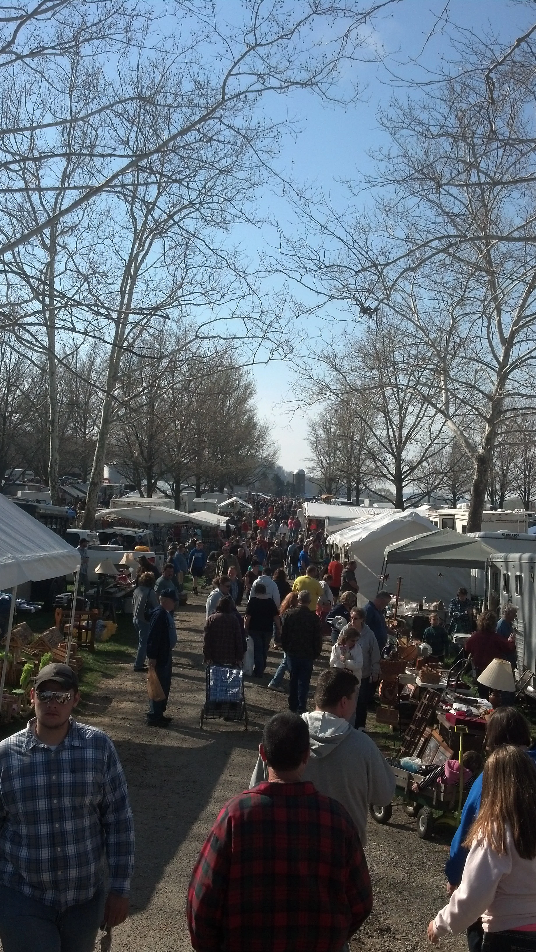 Crowd photo April 2014 2.jpg