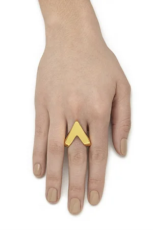 02_v_hand.jpg