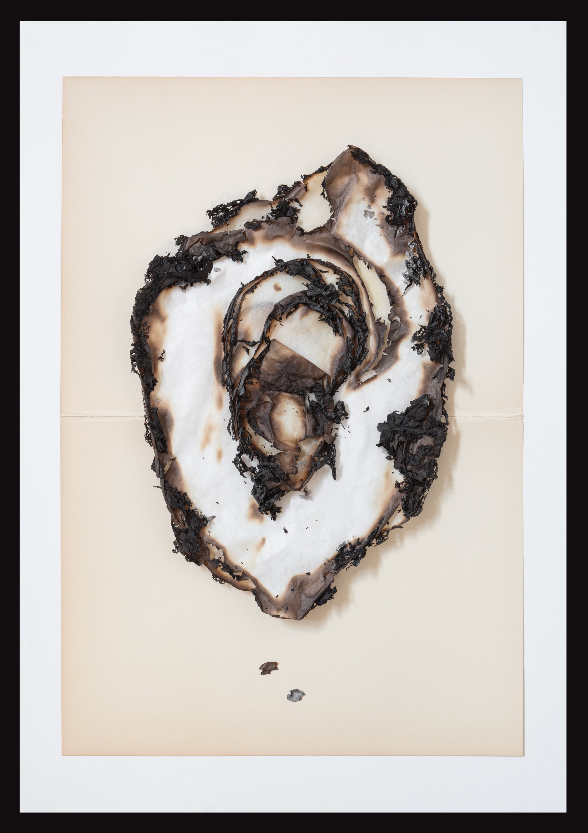 Remains #107