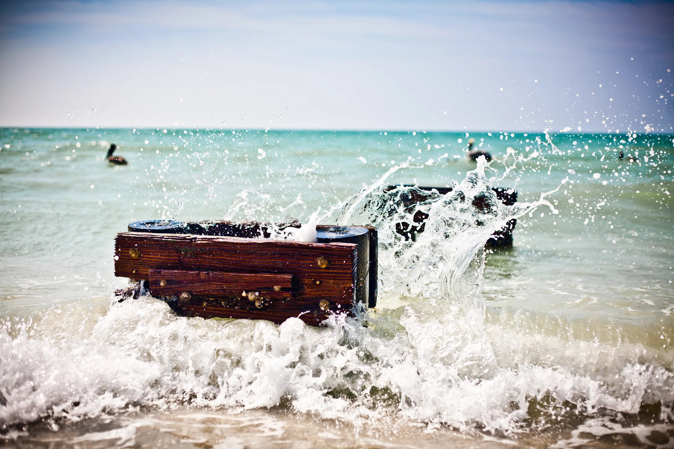 IMG_5189_© Mary Carol Fitzgerald Photography.JPG