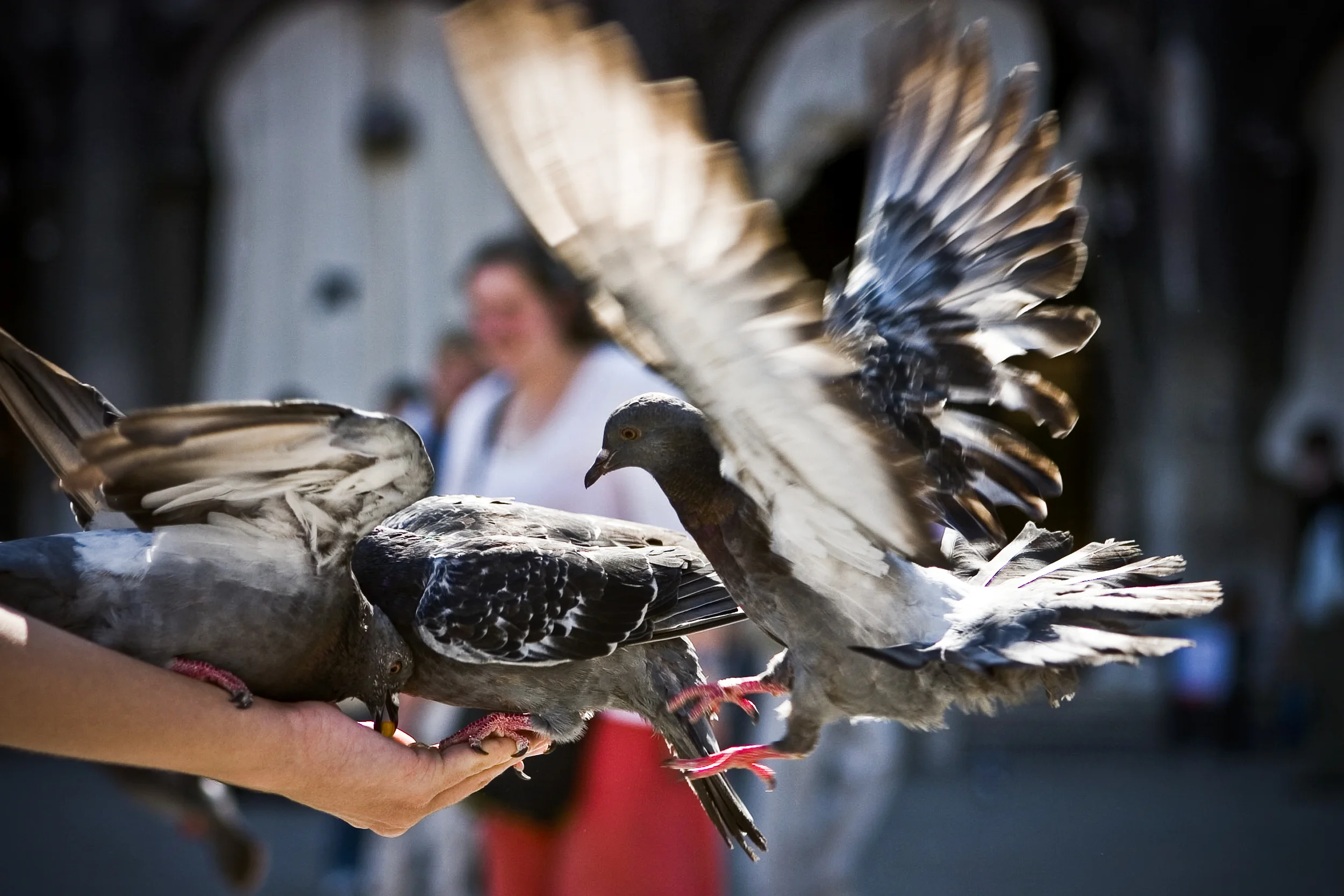 Venice_CRW_0904_3.jpg