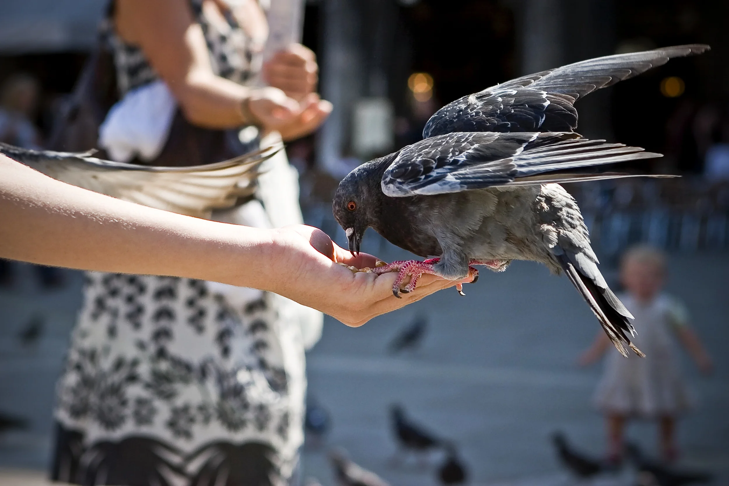 Venice_CRW_0902_1.jpg