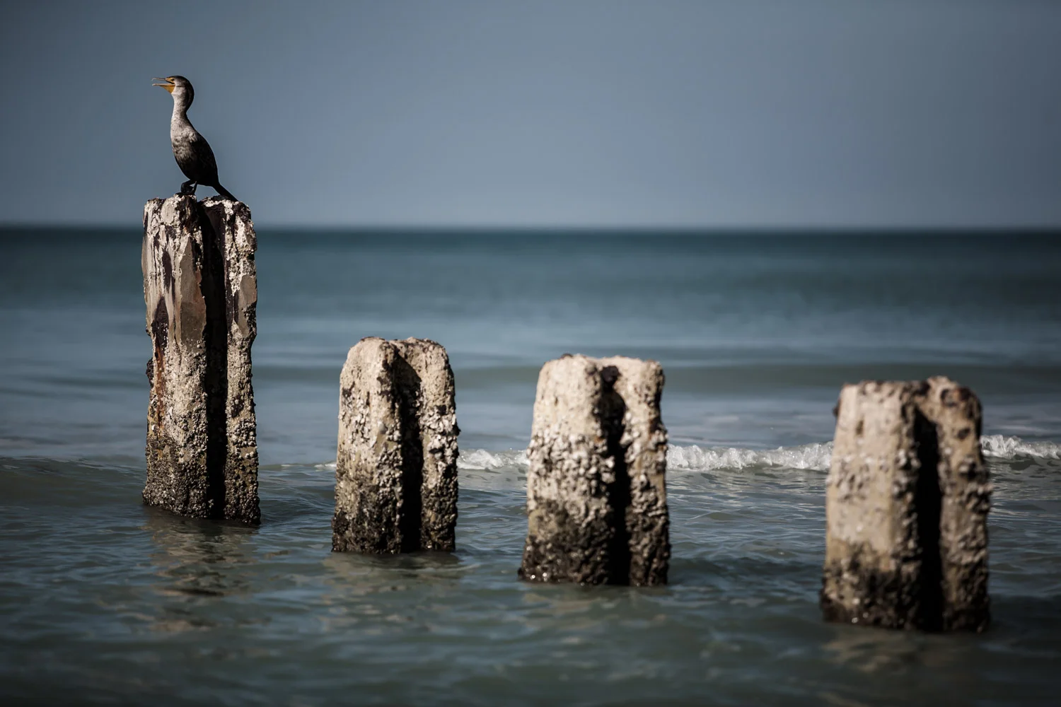 GPC_IMG_7167-Edit.jpg