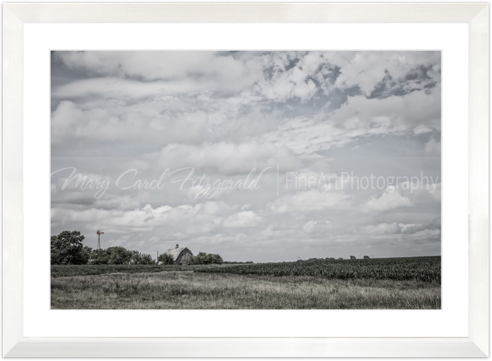 Iowa_Windmill-Barn_9741-40X60 (White Frame).png