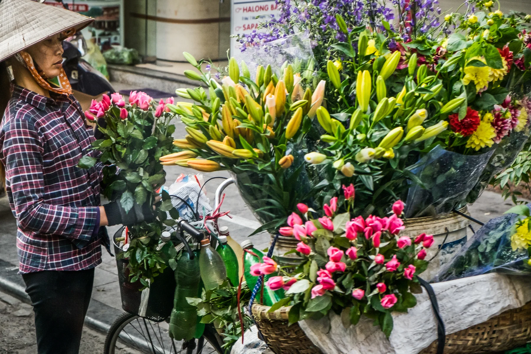 Vietnam-Hanoi_-10.jpg