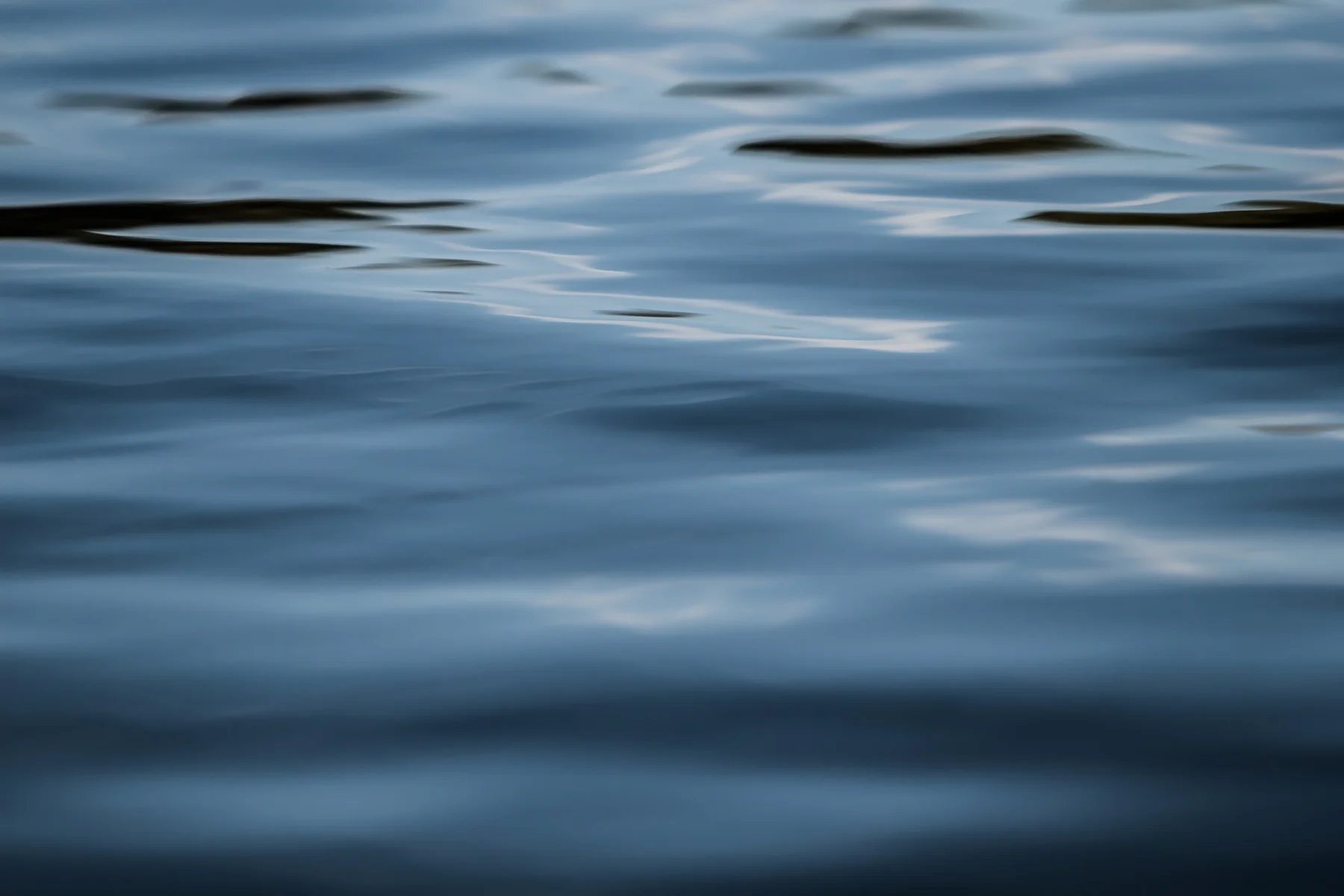 Fluidity_2517_20x30_300 dpi.jpg