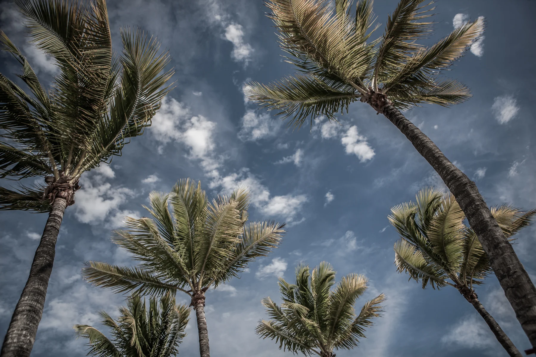 KeyWest_IMG_0283.jpg