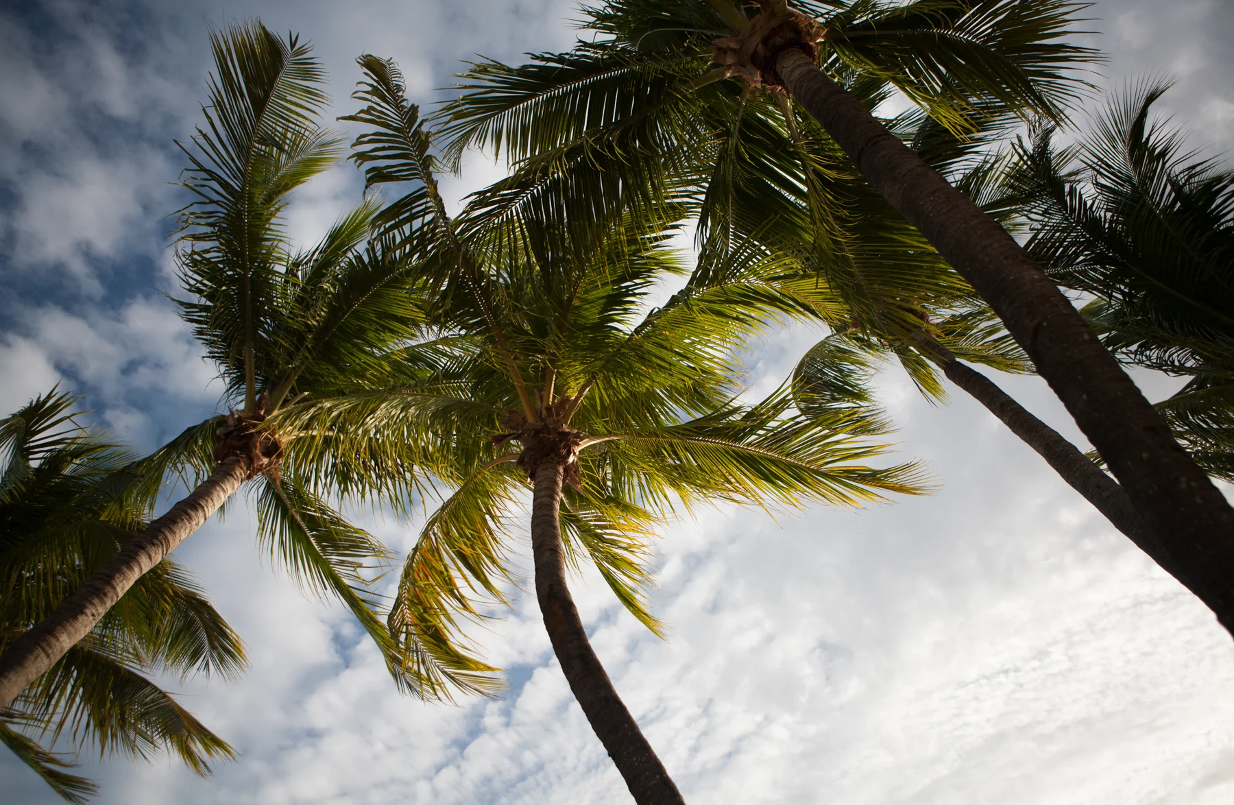 KeyWest_IMG_0311.jpg