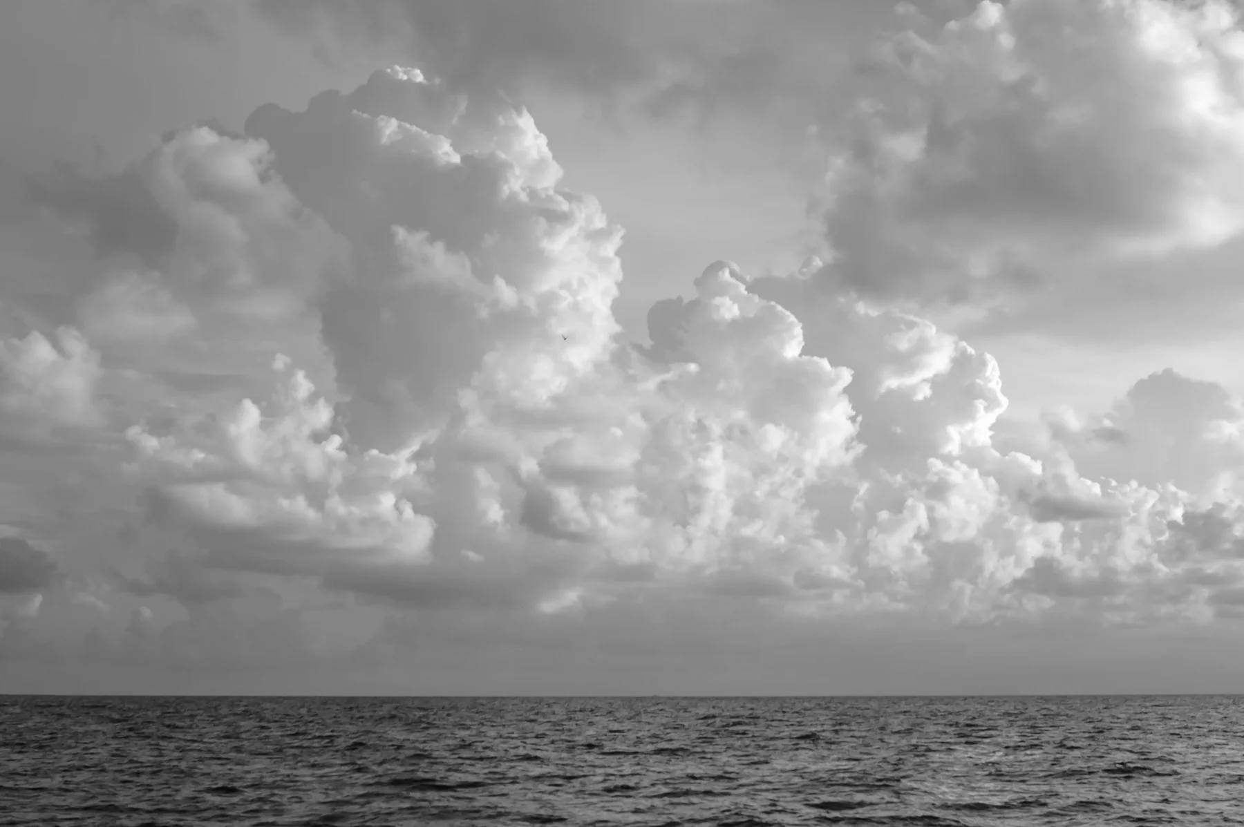 R3152x2068-00267-bw.jpg