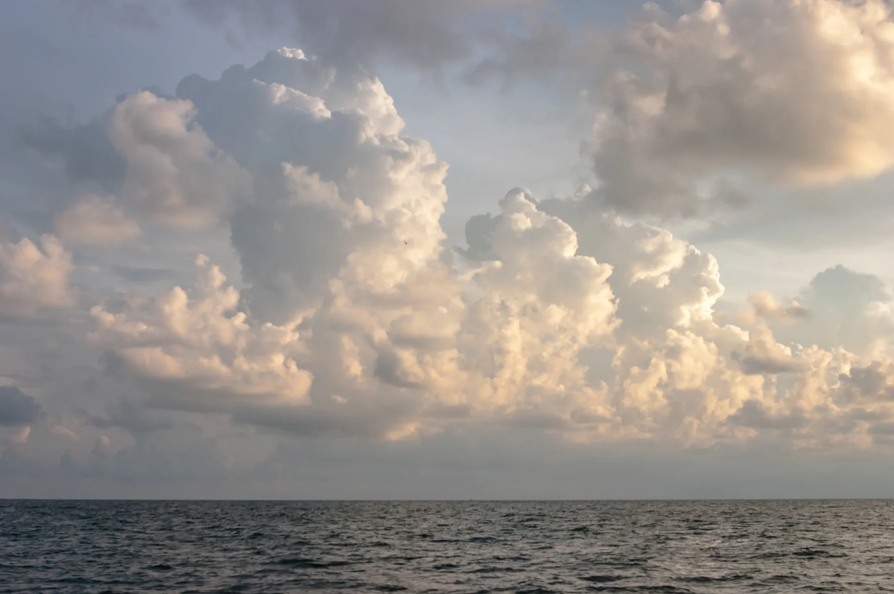R3152x2068-00267-color.jpg