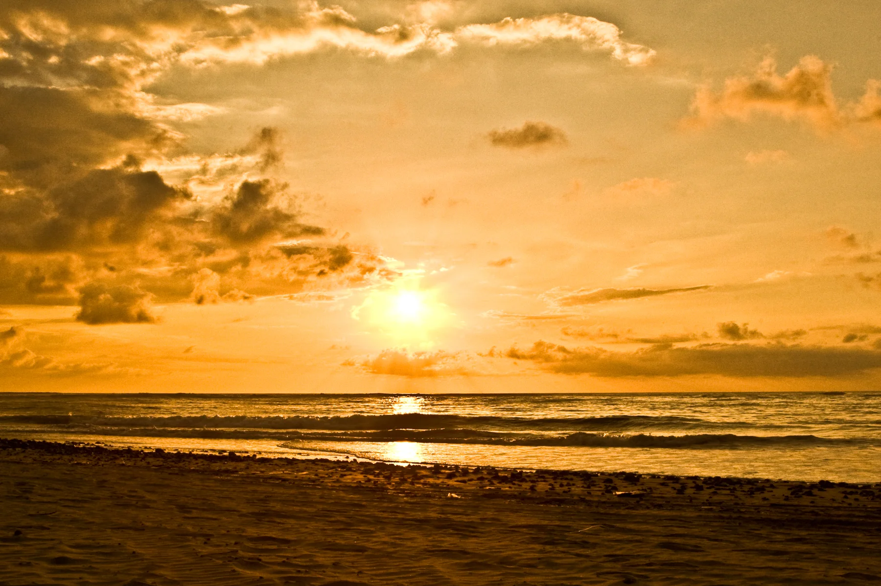 (5_MC) IMG_2427_Costa Rica_1-BW.jpg