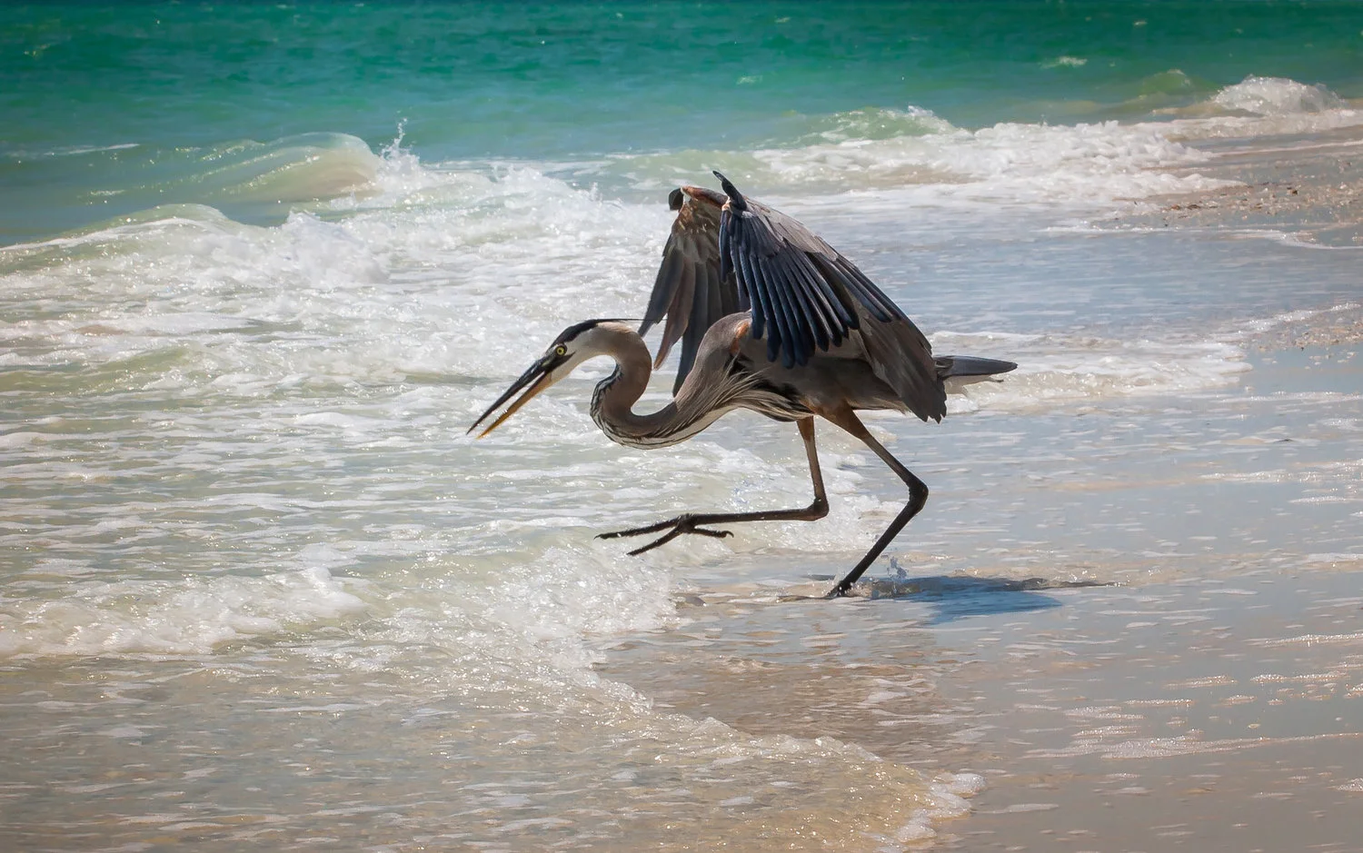 Naples+Beach+Days_2119.jpg