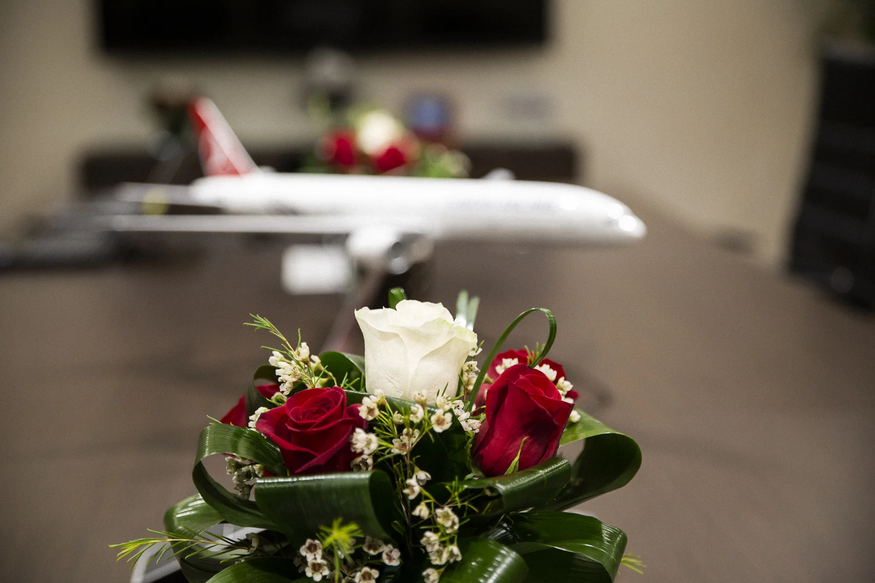 Turkish-Airlines_8516.JPG