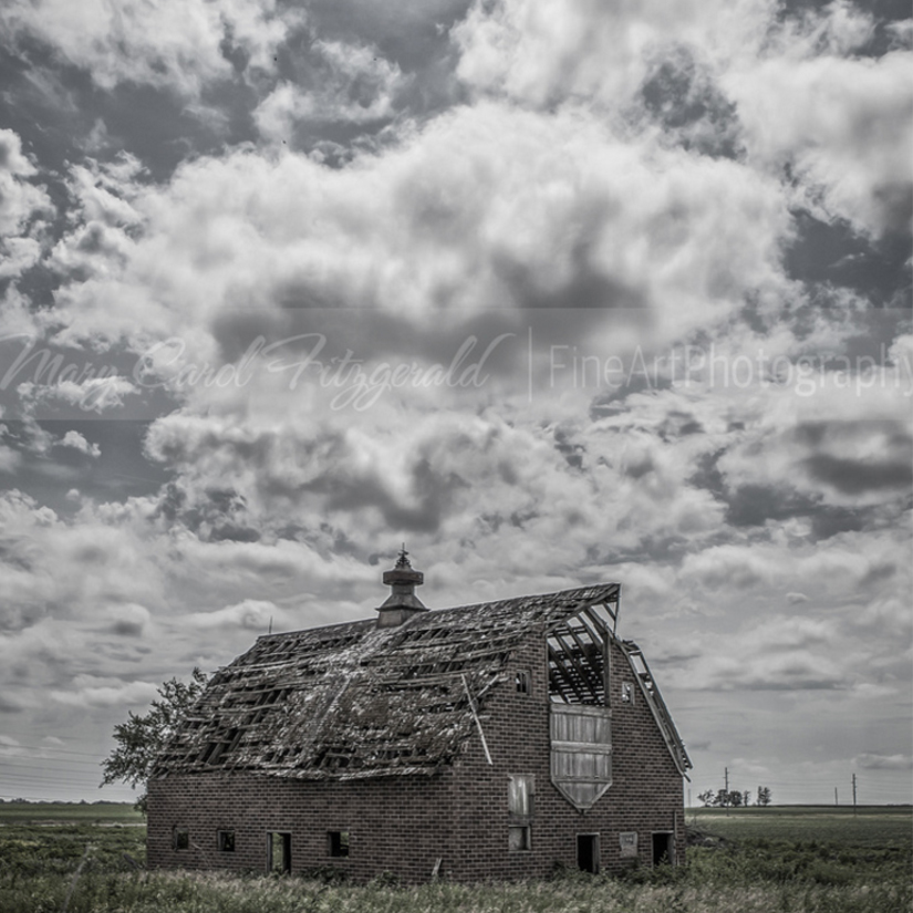 NEW Fine Art Photography Collection