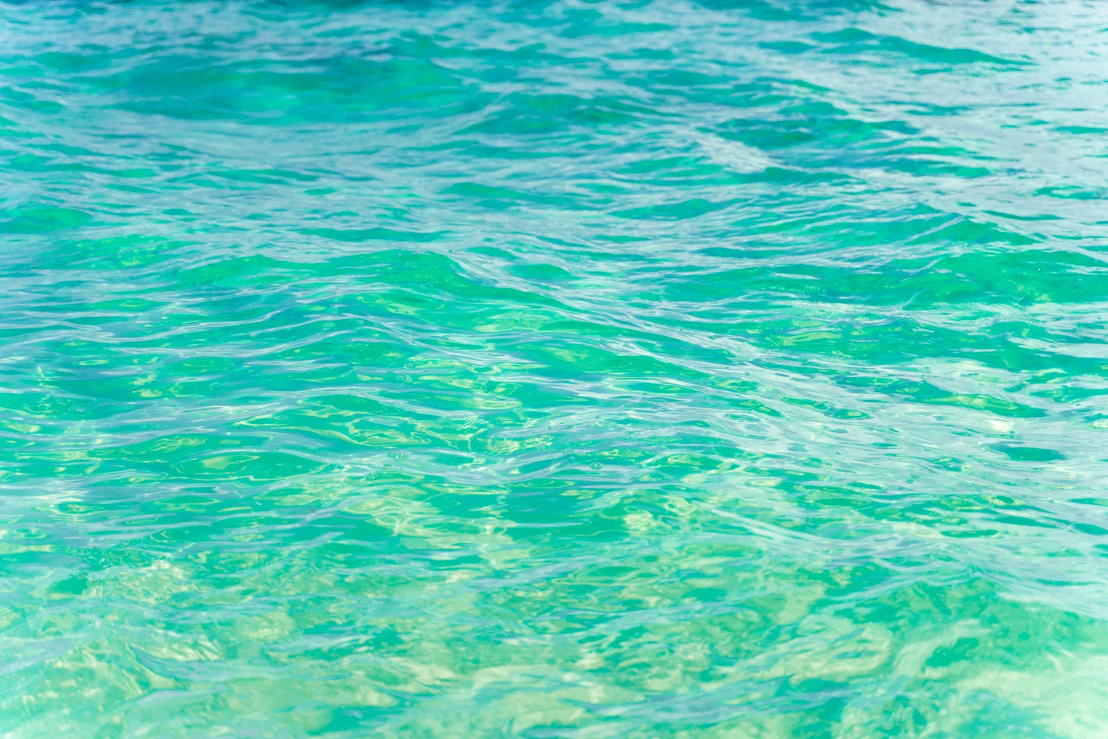 TCI_MCF_09701.jpg