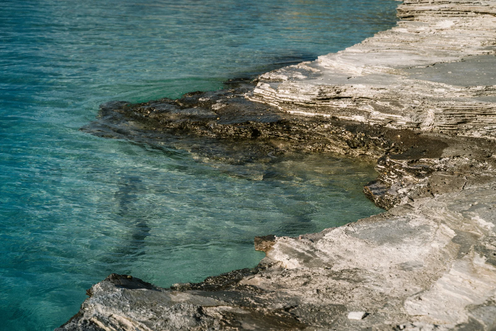 TCI_MCF_09819.jpg