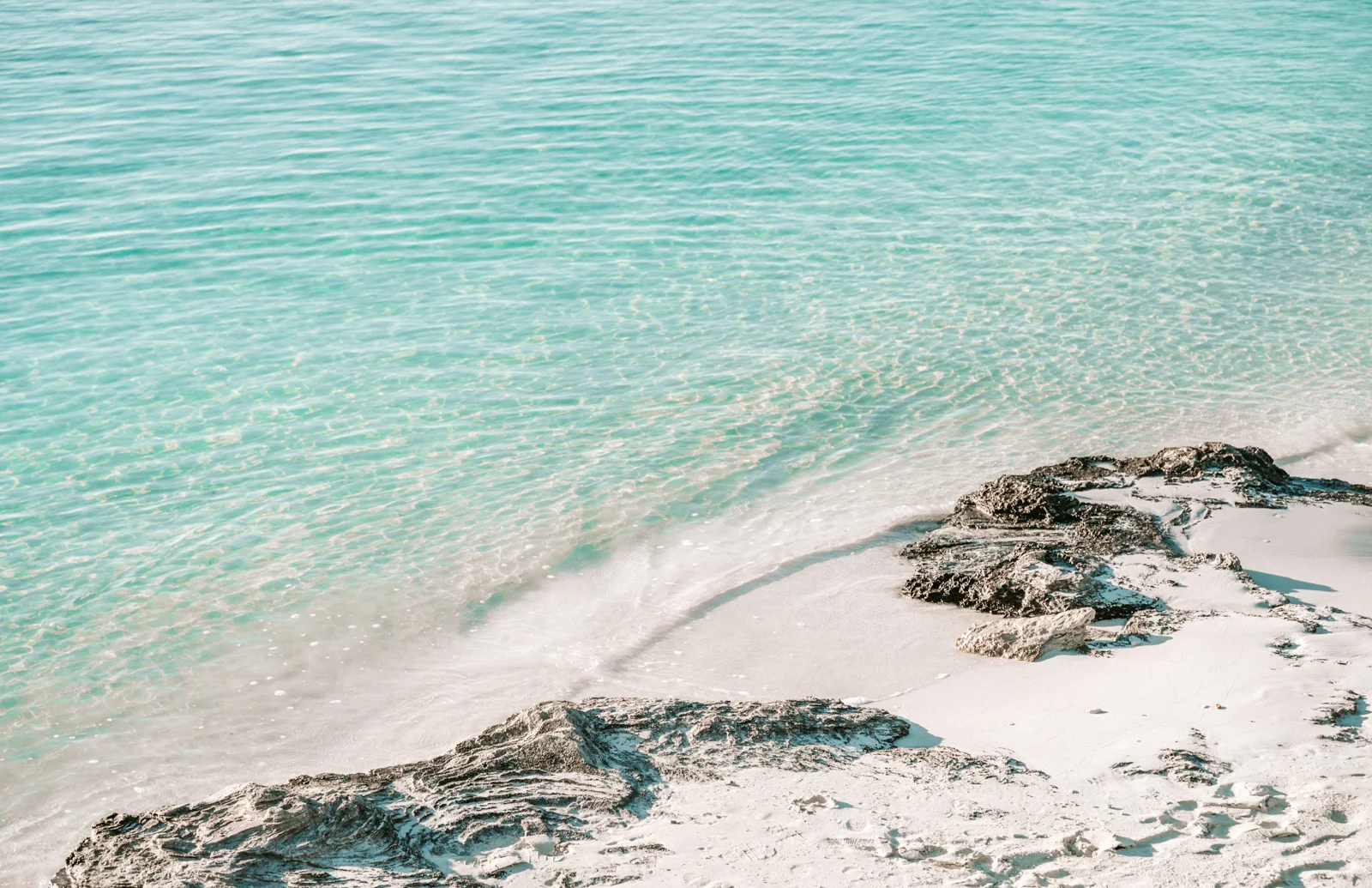 TCI_MCF_09865-2.jpg