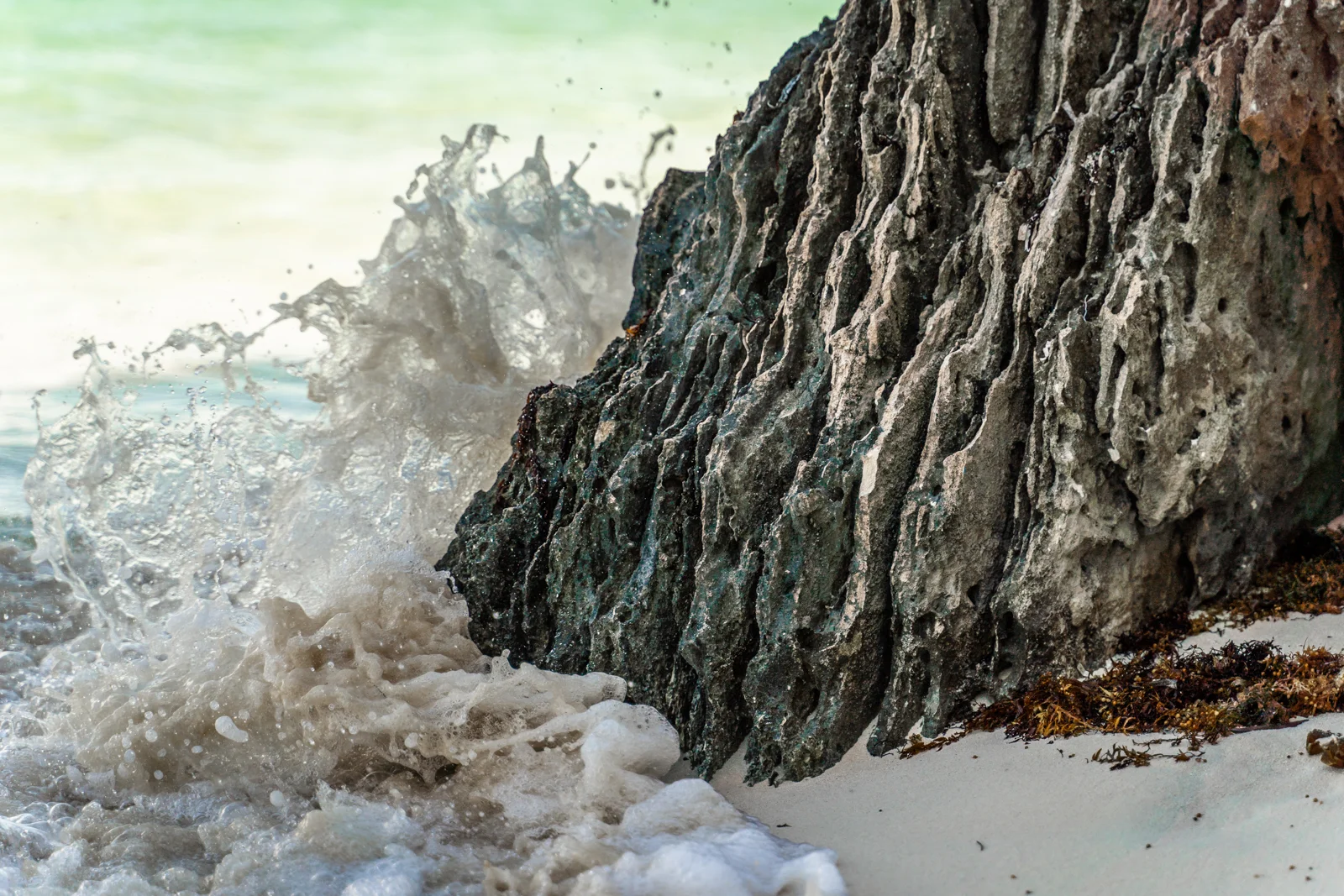TCI_MCF_09666-3.jpg